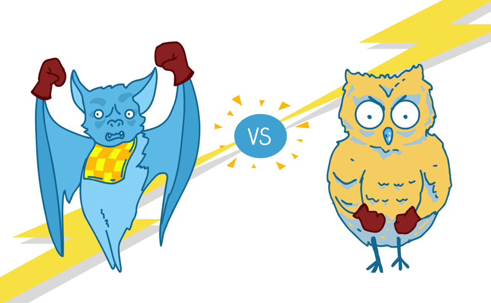 Bats vs owls