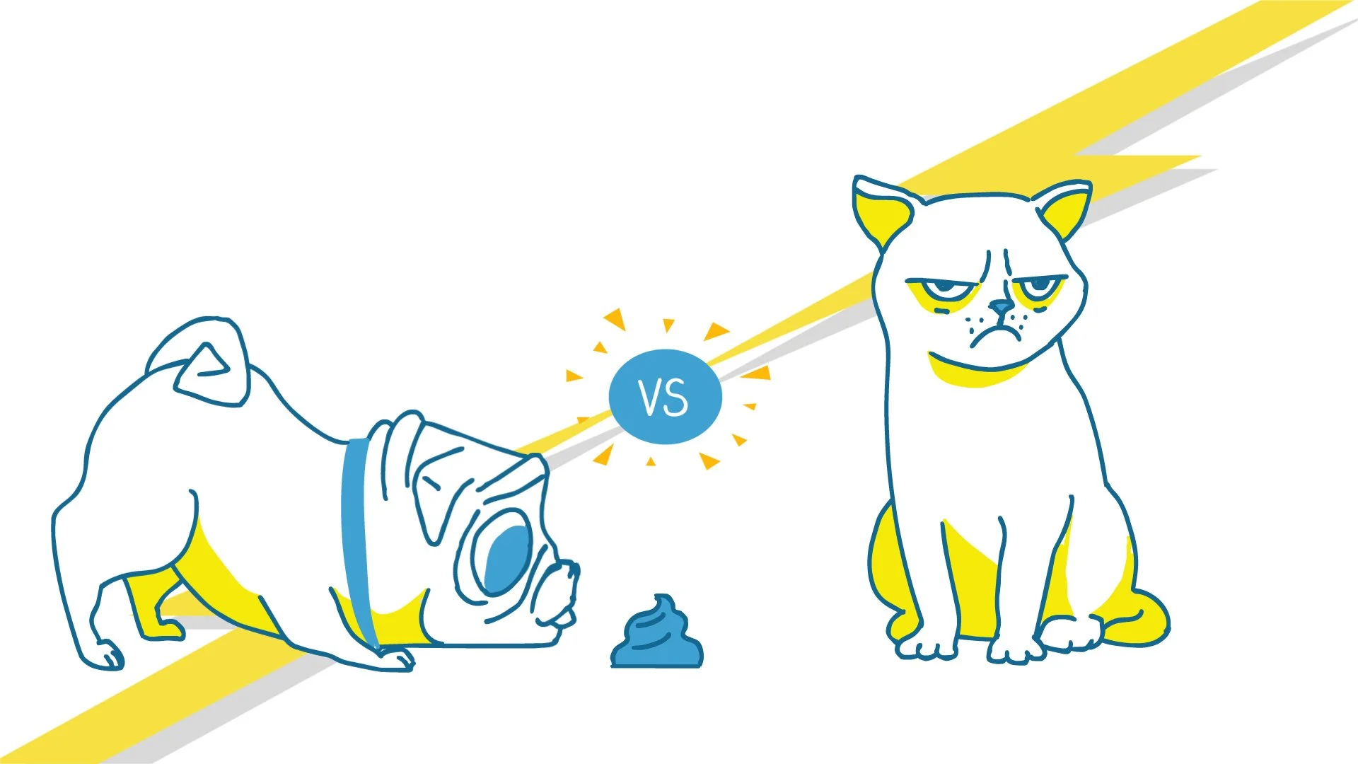 Cats vs Dogs
