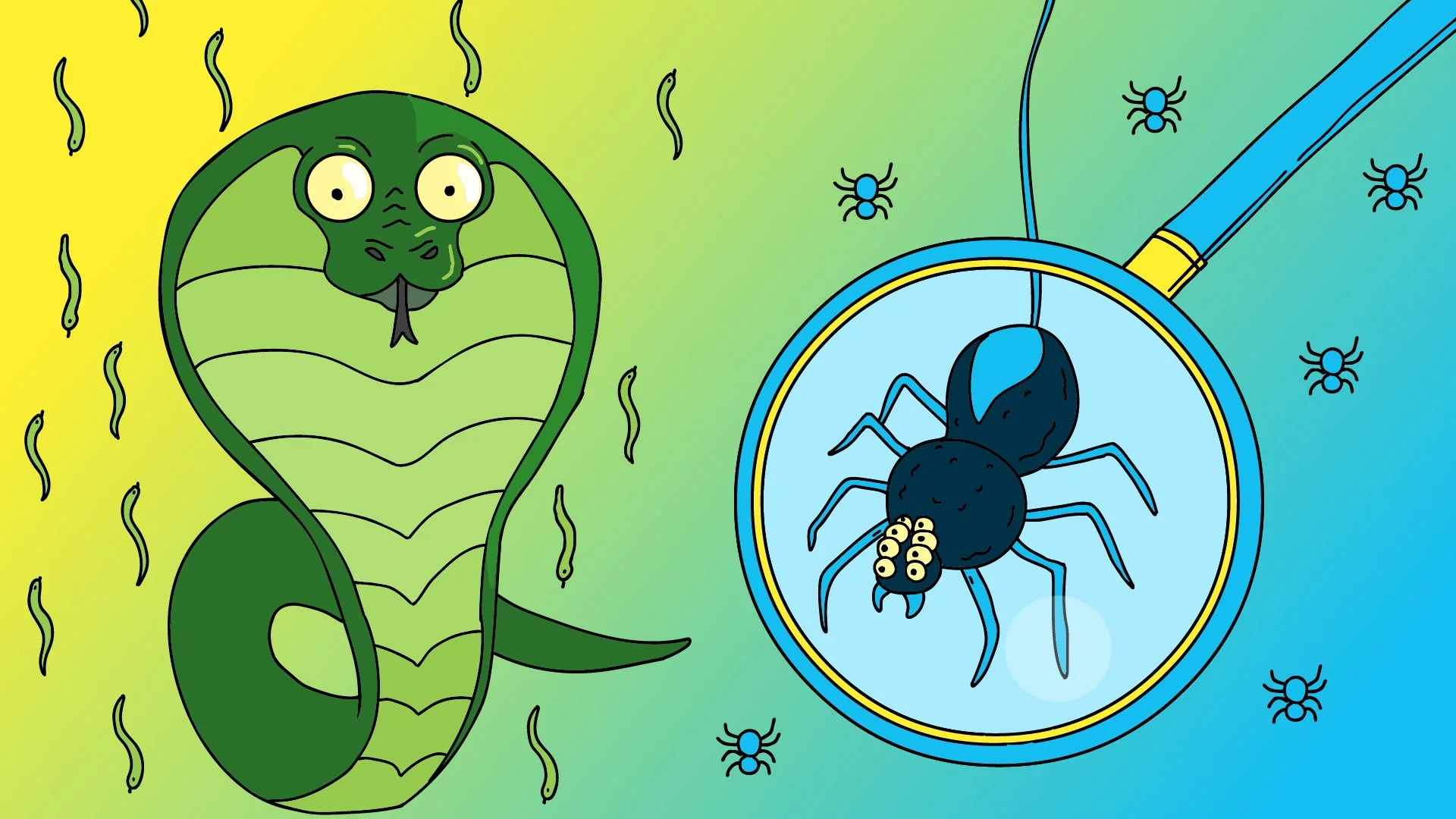 Snakes vs Spiders
