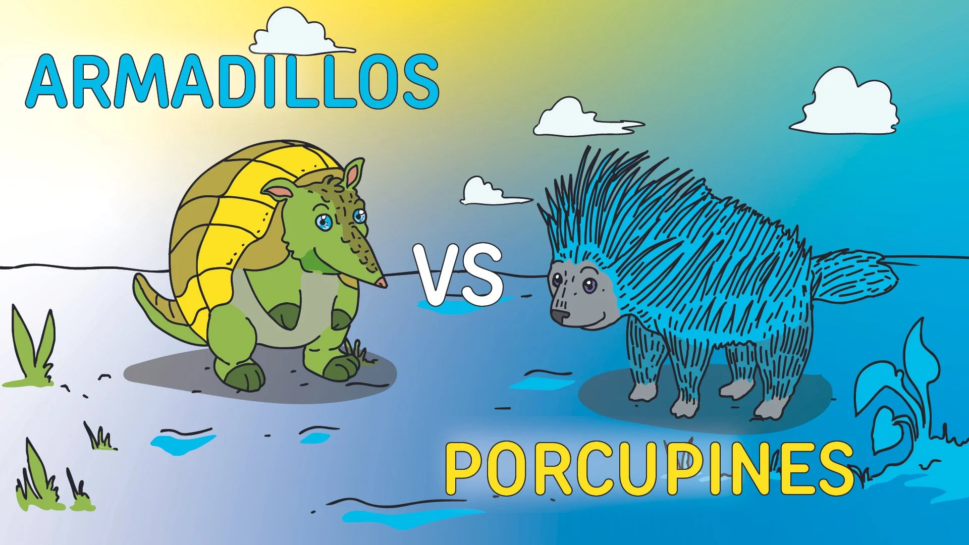 Armadillos vs Porcupines