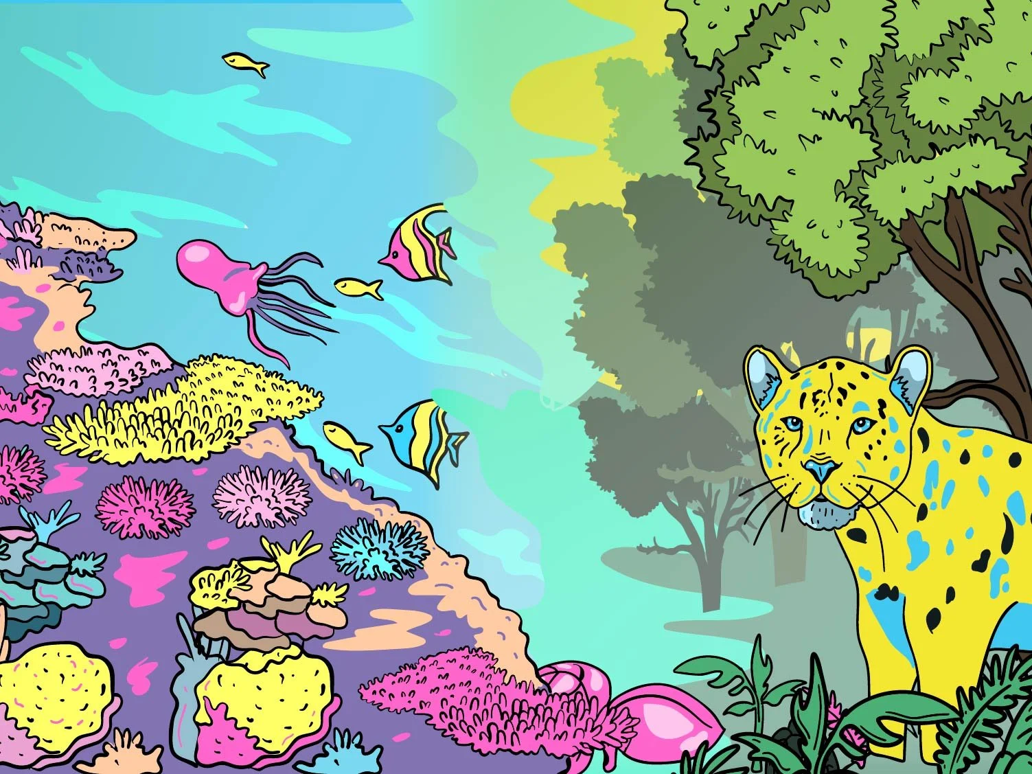Coral Reefs vs Rainforests