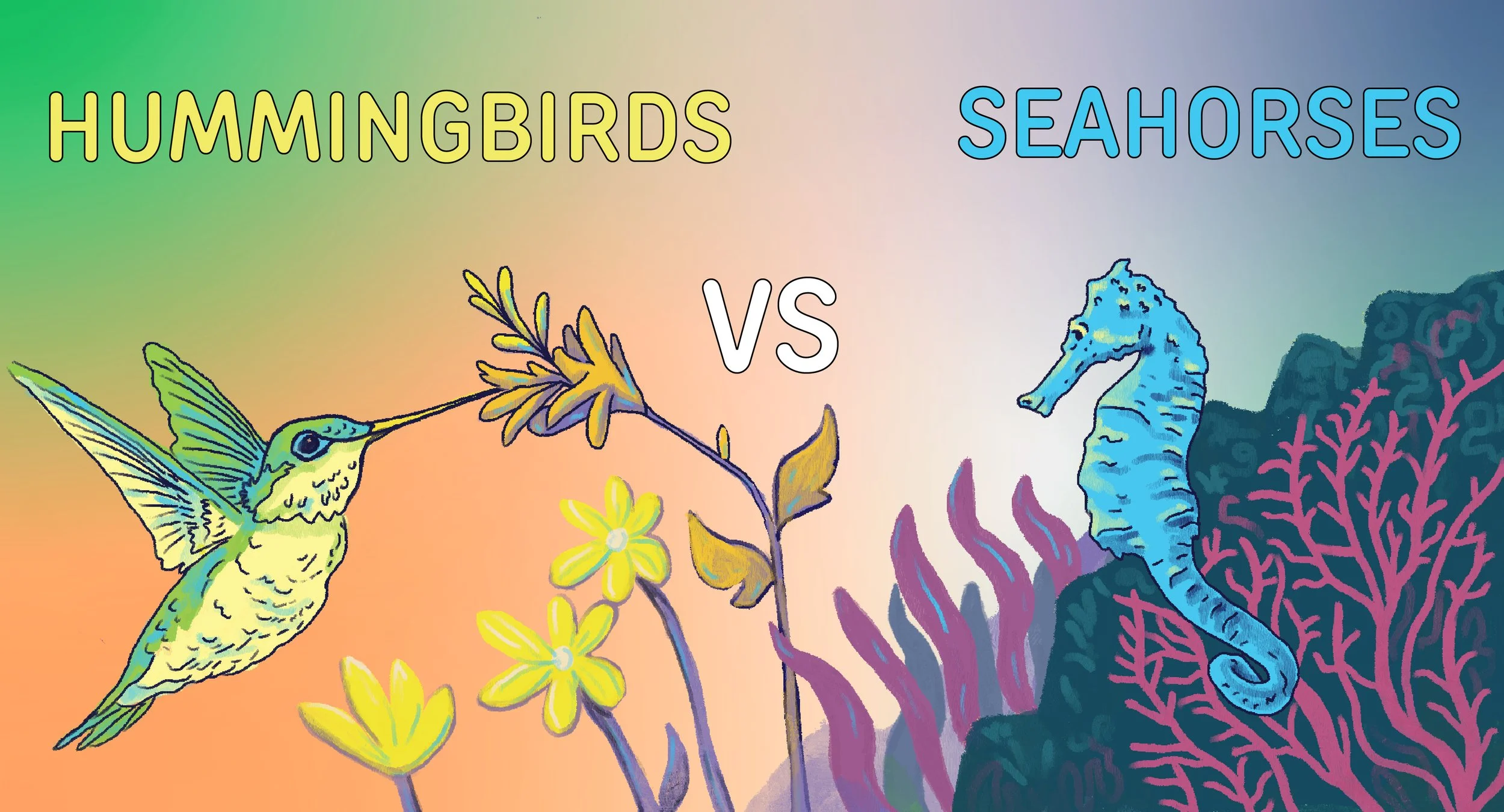 Hummingbirds vs Seahorses