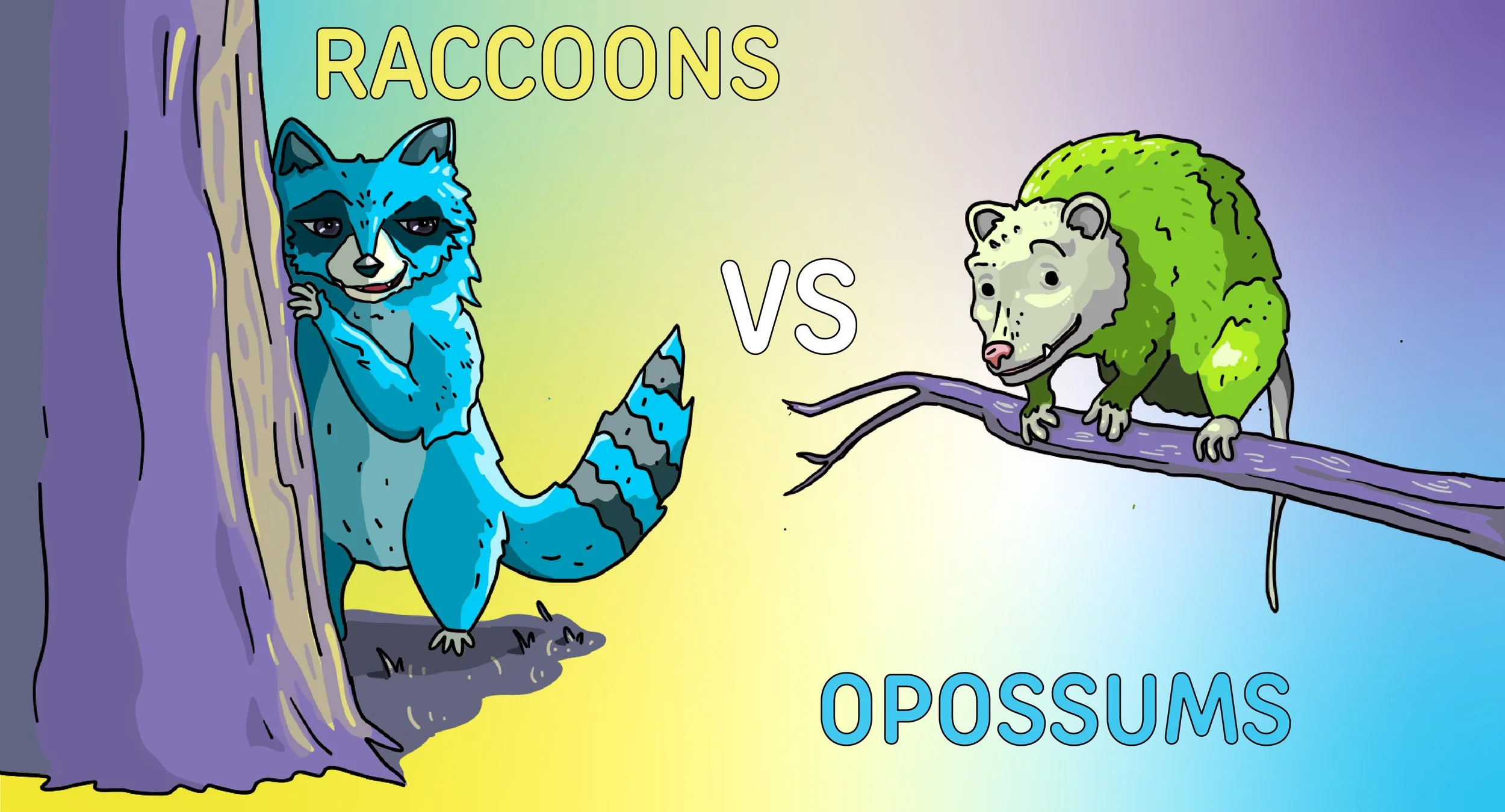 Opossums vs Raccoons