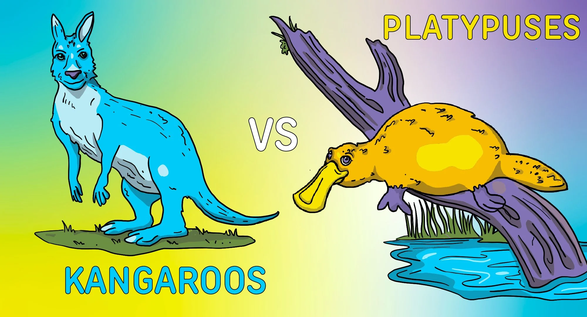 Kangaroos vs Platypuses
