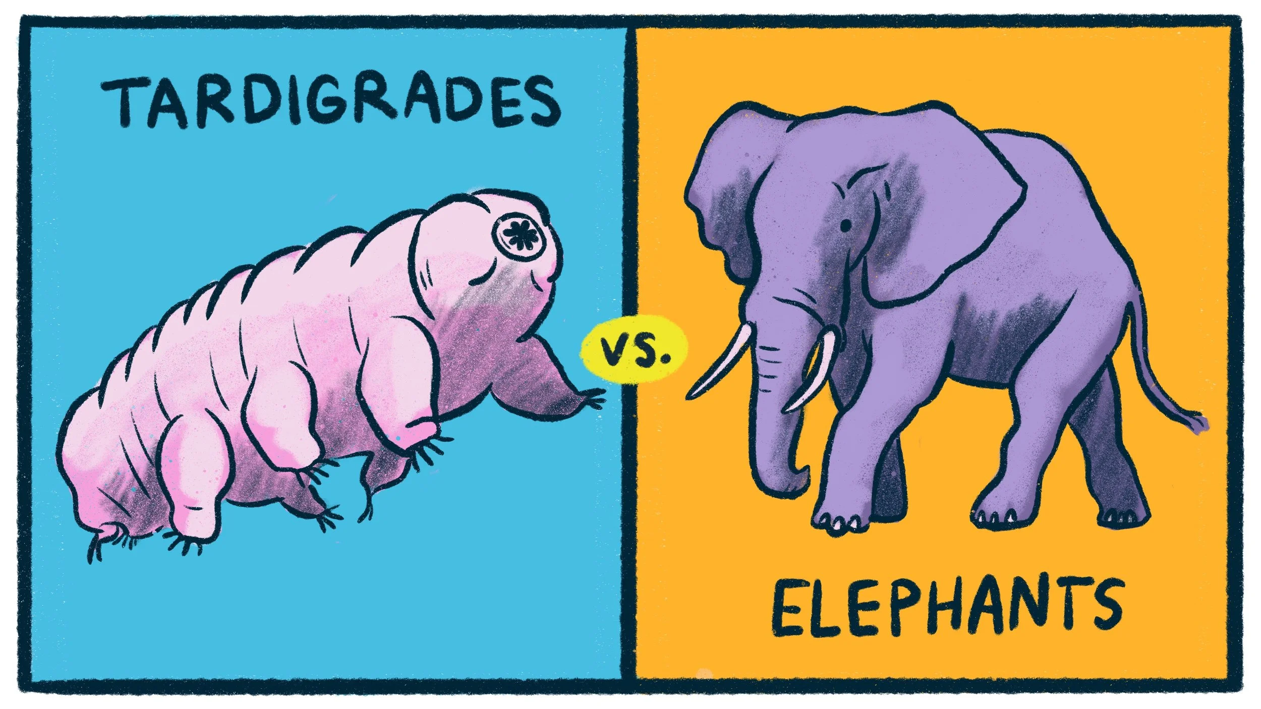 Tardigrades vs Elephants