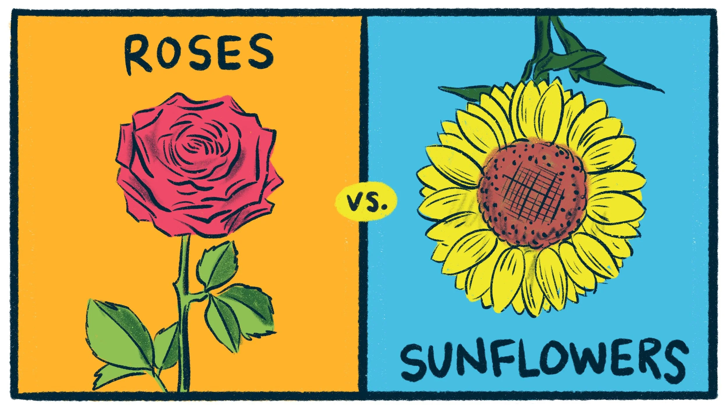 Roses vs Sunflowers