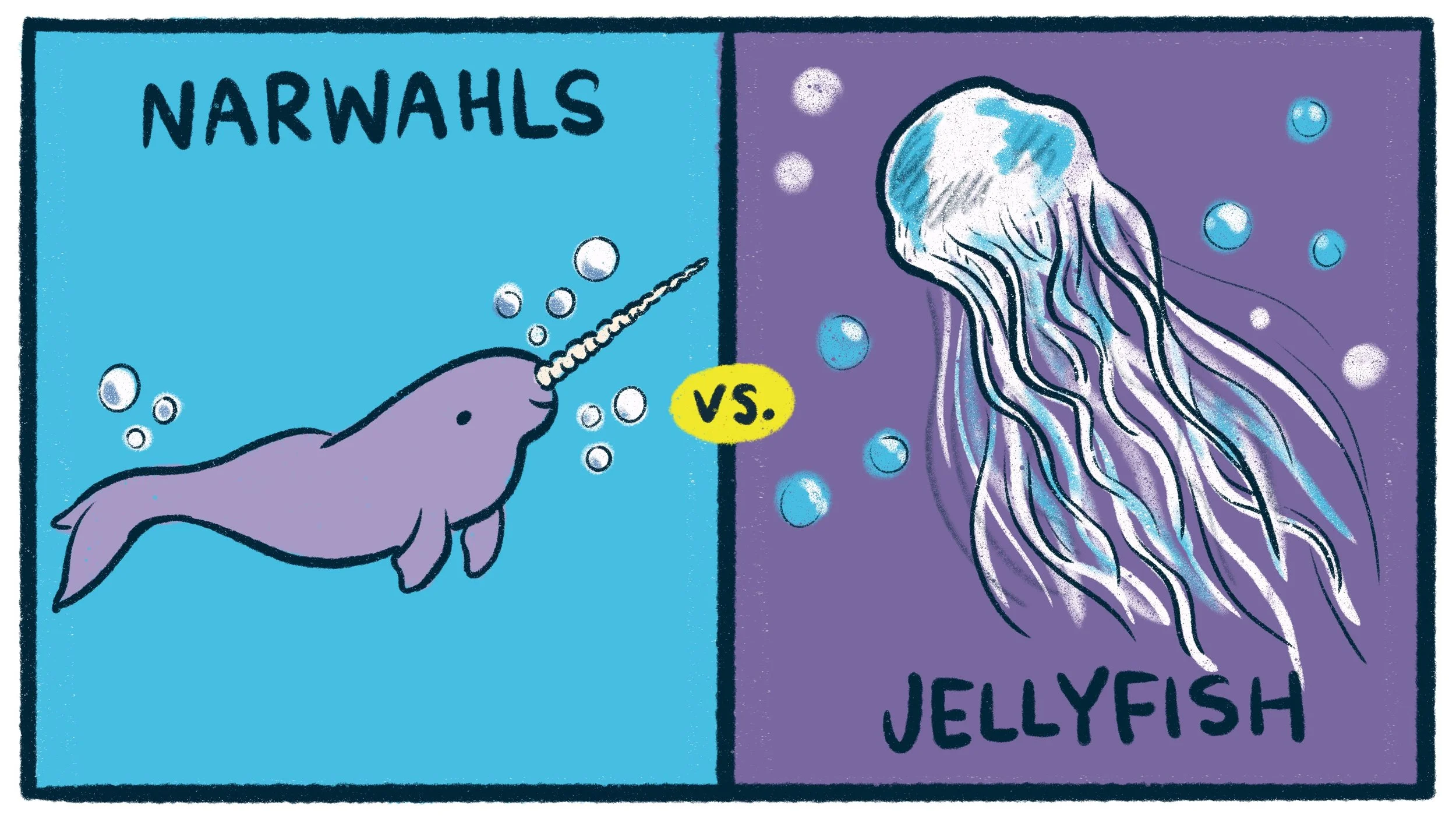 Narwhals vs Jellyfish