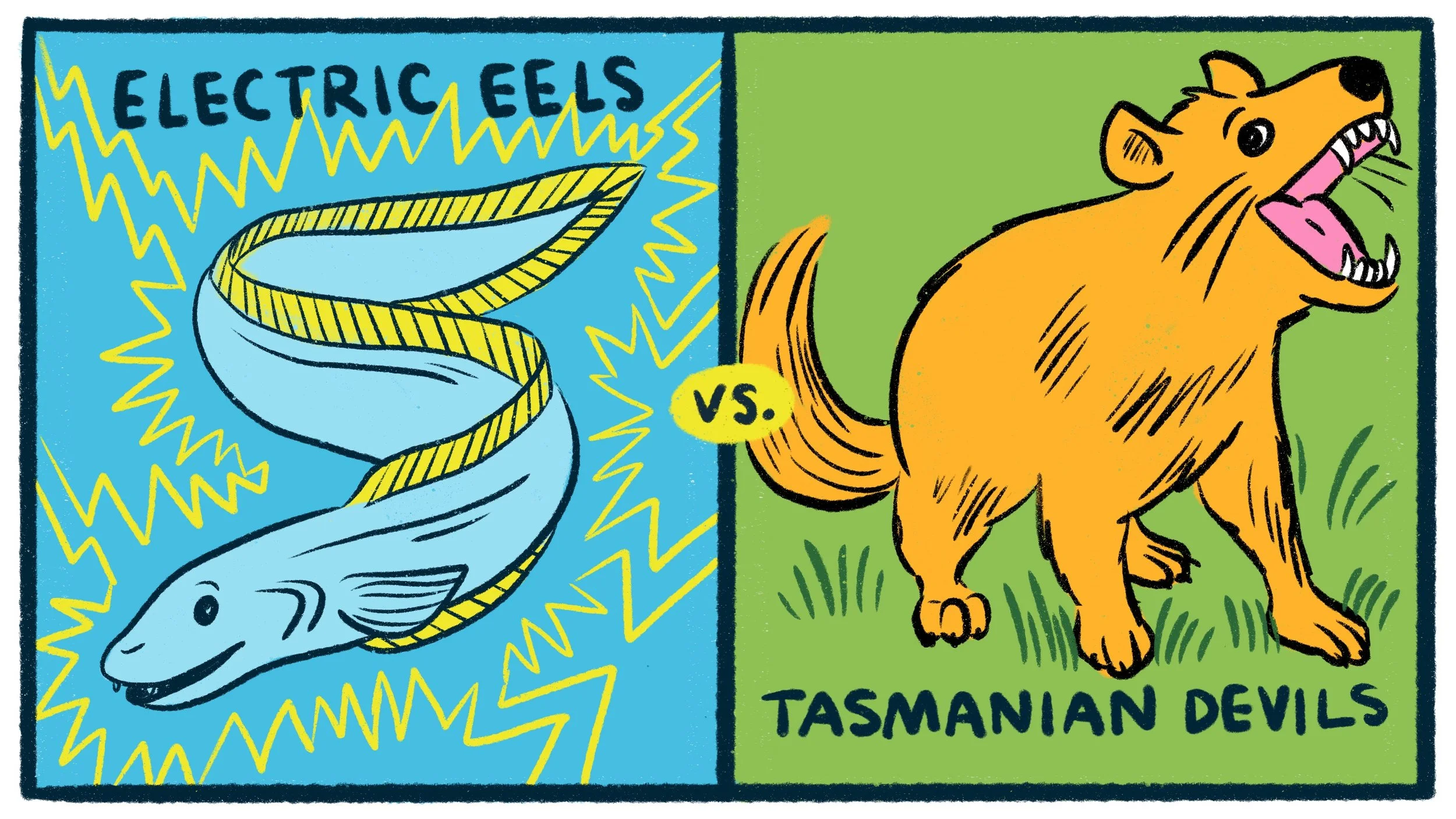 Electric Eels vs Tasmanian Devils