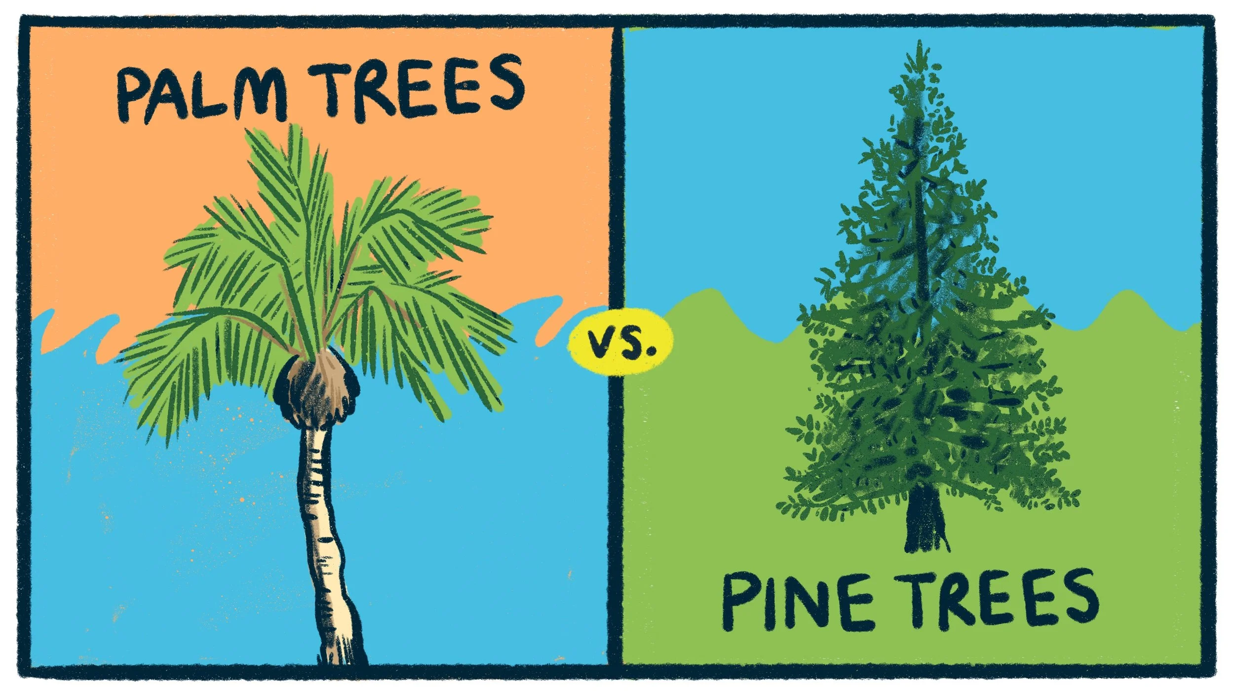 Palm Trees vs Pine Trees