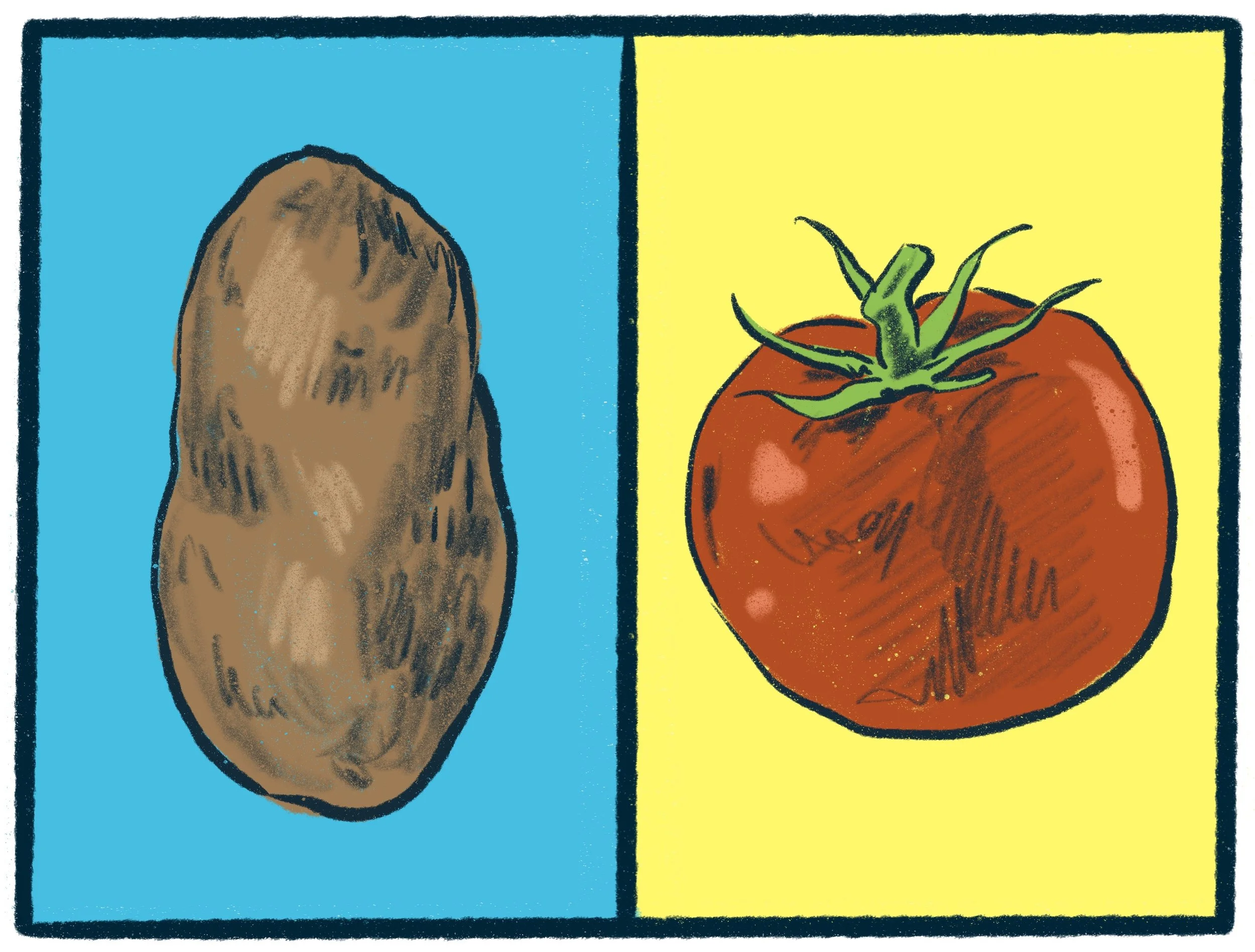Potatoes vs Tomatoes