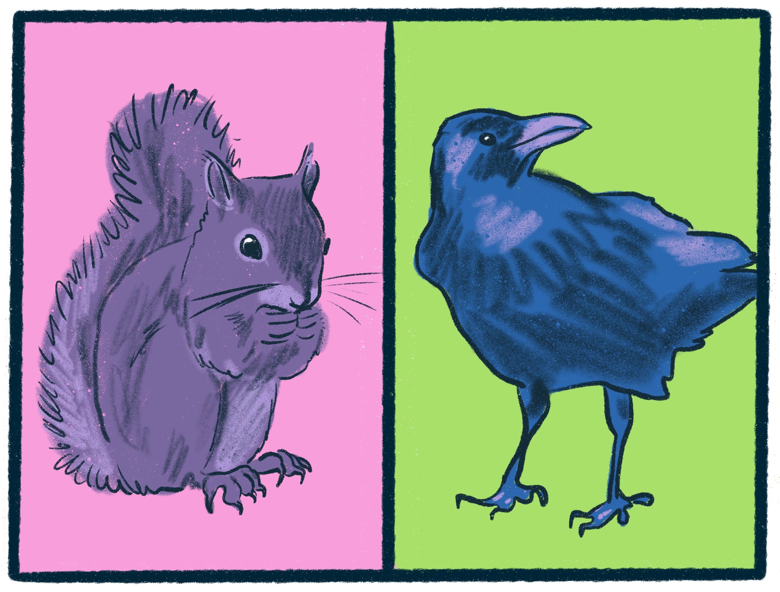 Squirrels vs Crows