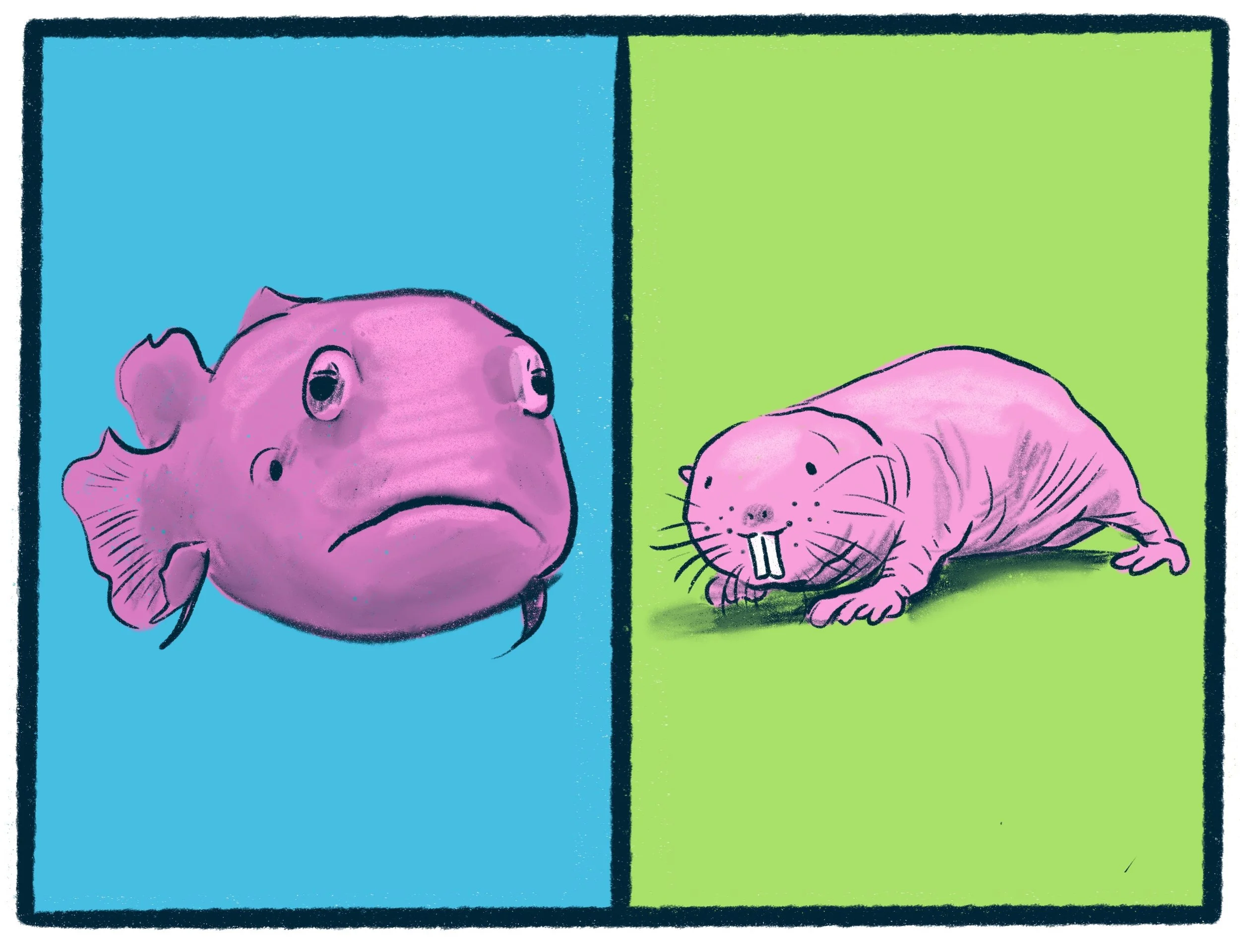Blobfish vs Naked Mole Rat