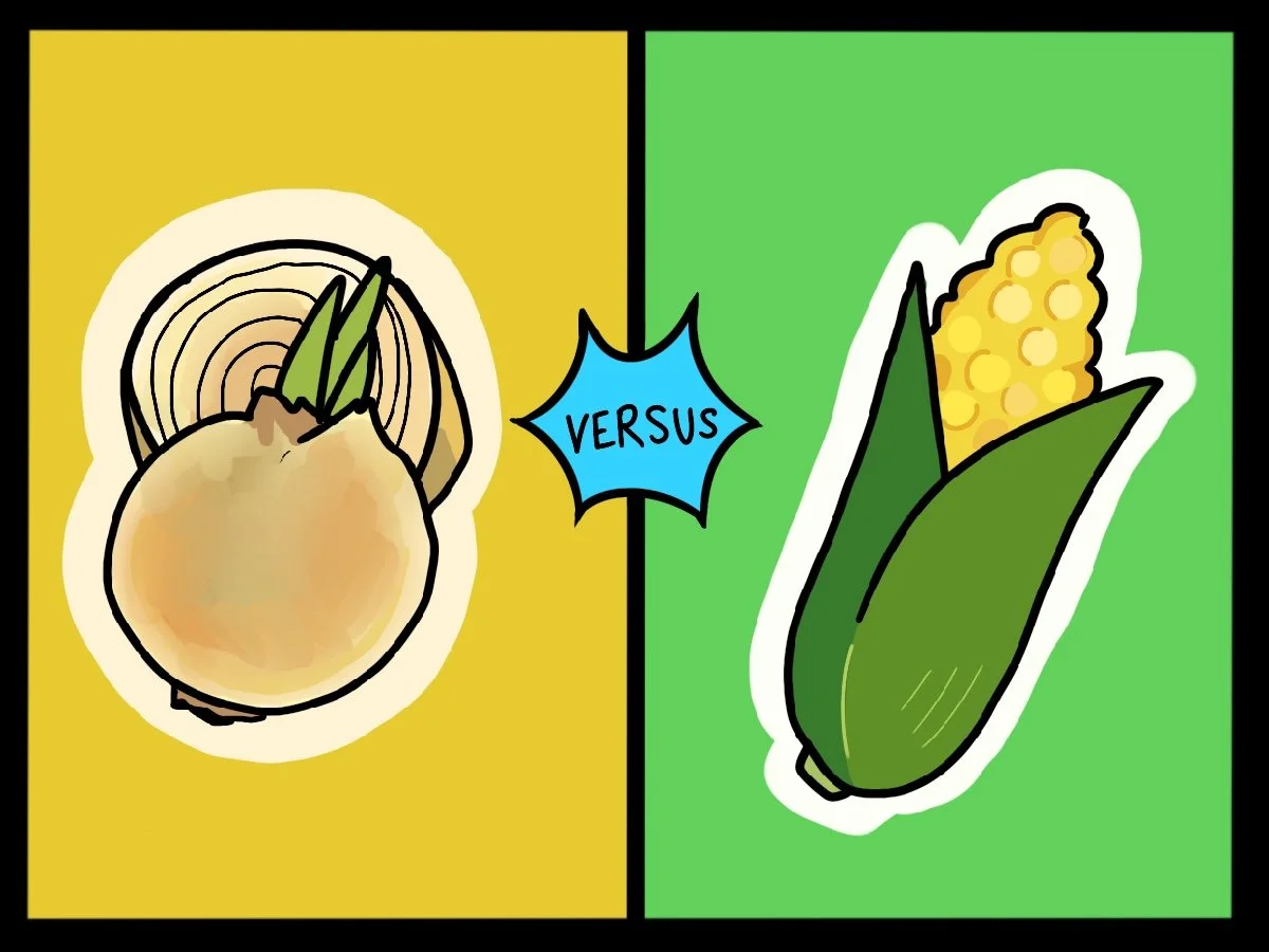 Onions vs Corn