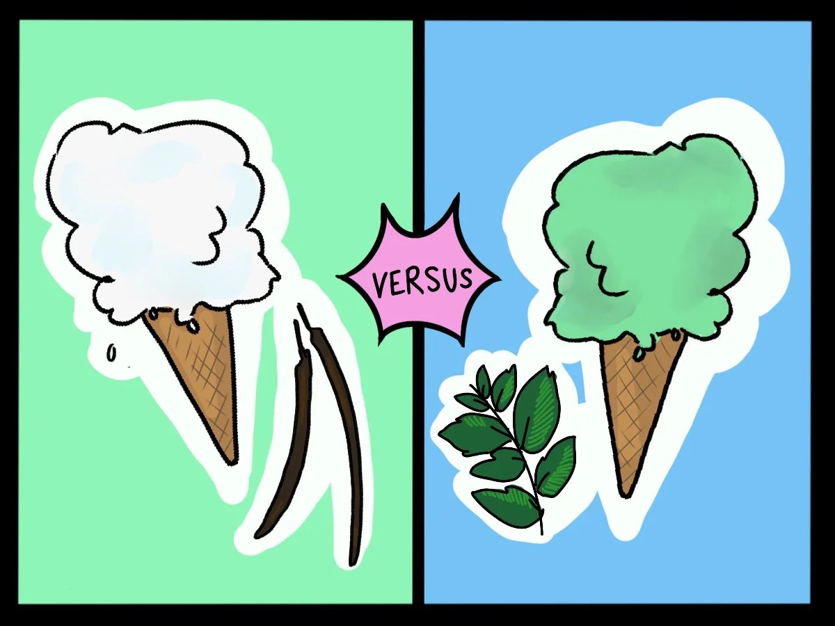 Vanilla vs Mint