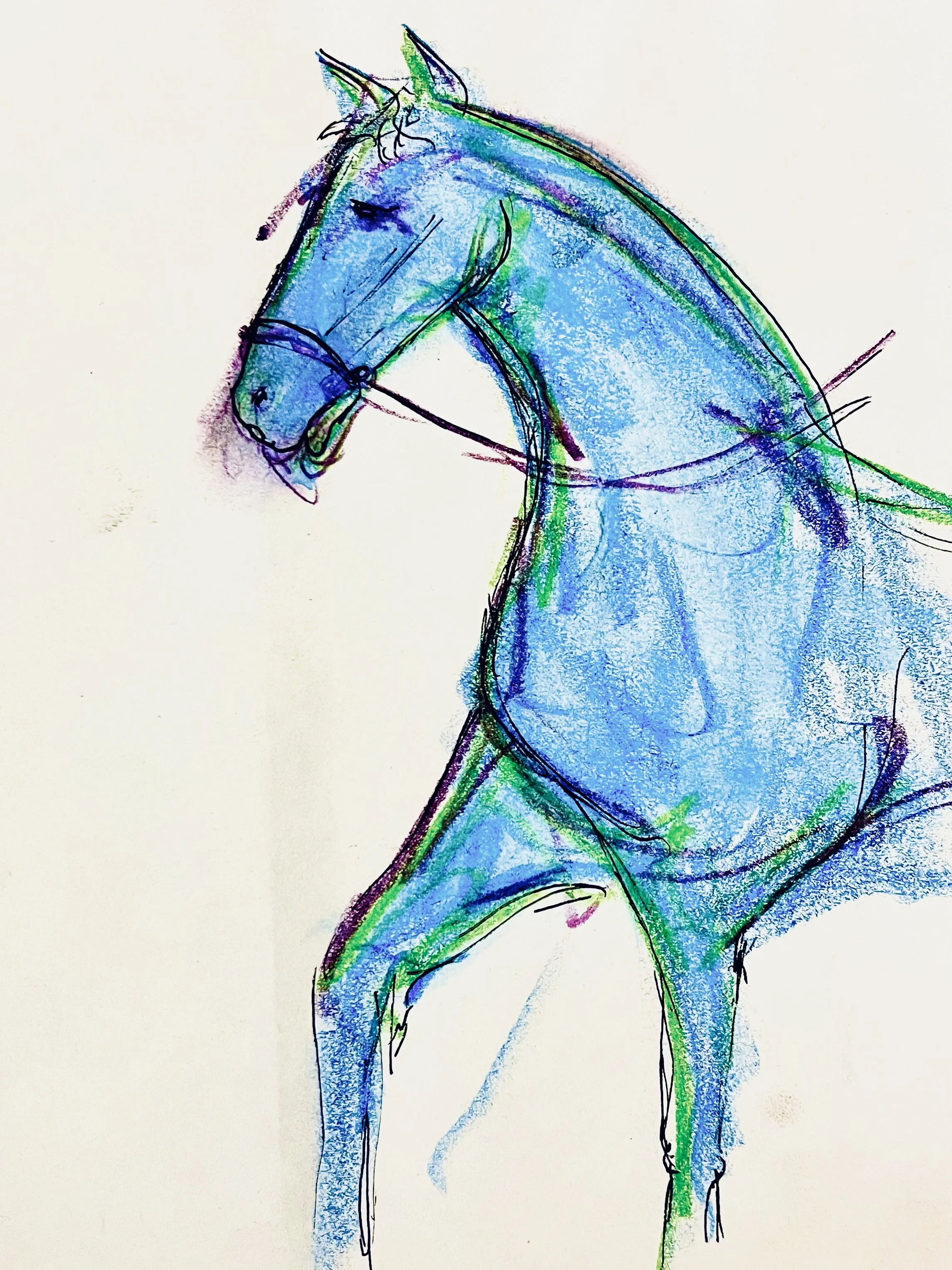 A colorful sketch of a horse with blue and green hues, black outlines, and a minimalistic background.