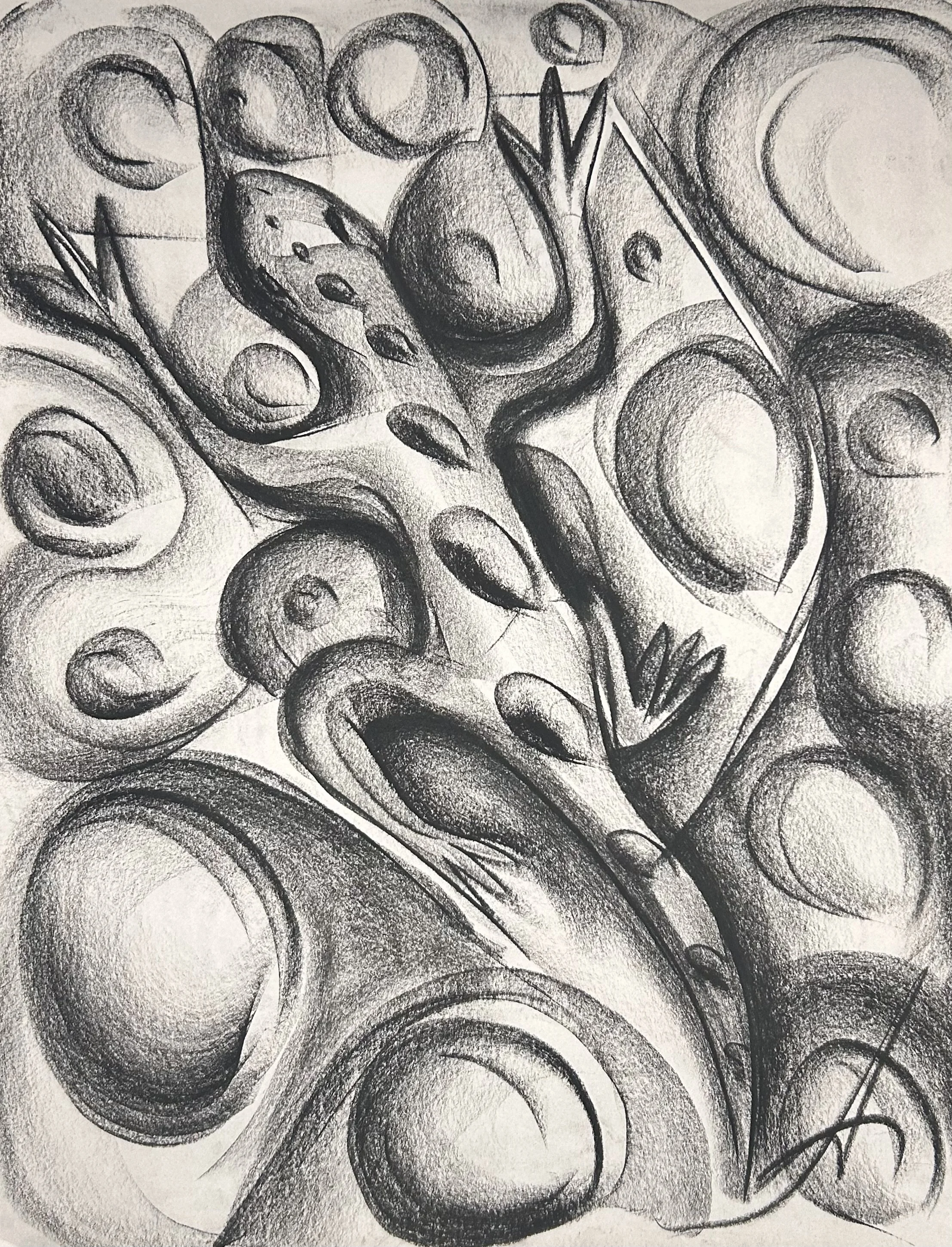 "Gecko"