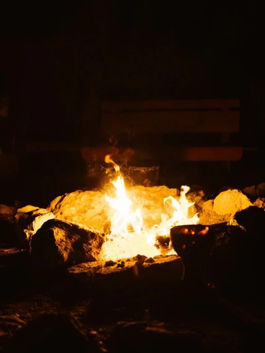 Changa or Tepezcohuite