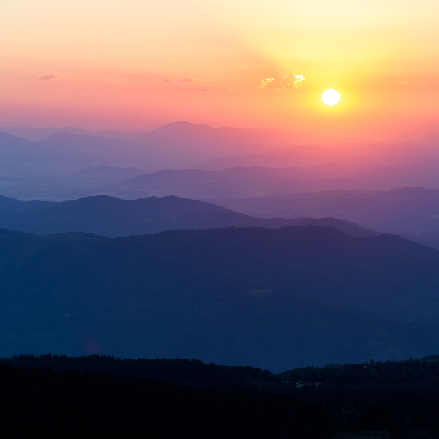 Drop Thesis is a fully legal and licensed Psilocybin Center in Bend, Oregon.