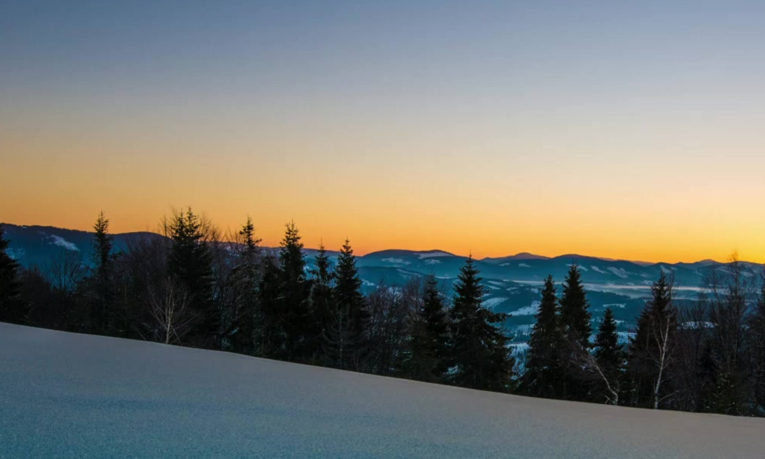 Drop Thesis Website Header (1).png