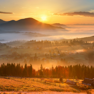 Drop Thesis is a fully legal and licensed Psilocybin Center in Bend, Oregon.