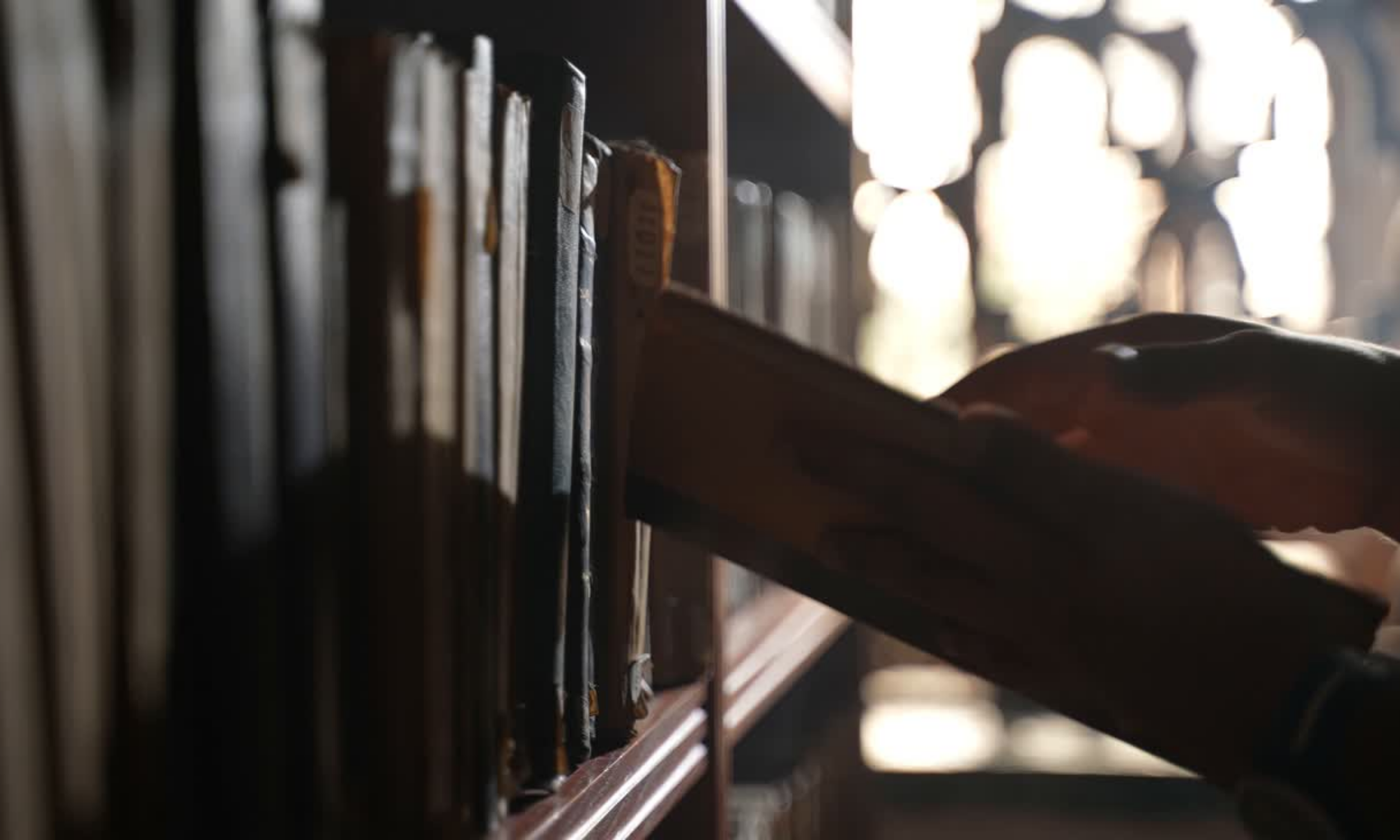 Drop Thesis Website Header (4).png