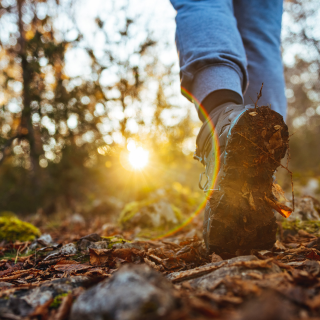 Drop Thesis is a fully legal and licensed Psilocybin Center in Bend, Oregon.