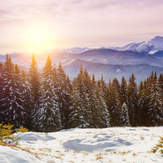 Drop Thesis is a fully legal and licensed Psilocybin Center in Bend, Oregon.