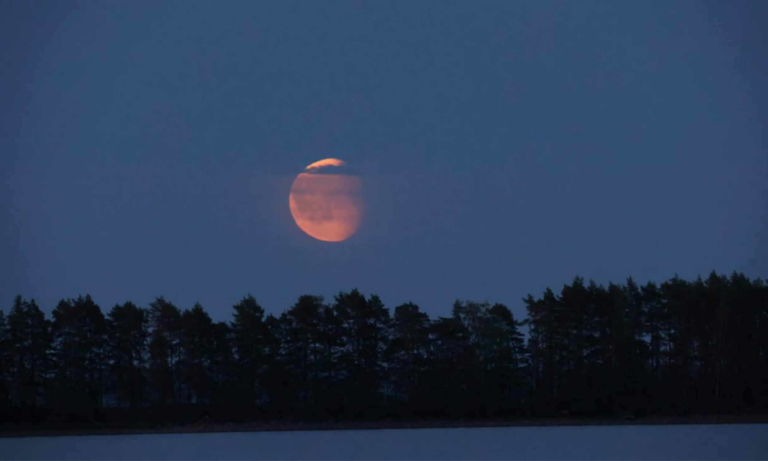 Drop Thesis Website Header (3).png