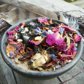 Drop Thesis is a fully legal and licensed Psilocybin Center in Bend, Oregon.