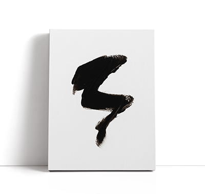 Collections, Wild + Free