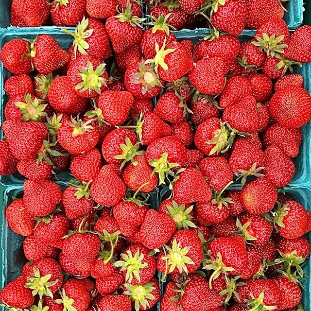 whistle down farm organic strawberries.jpg