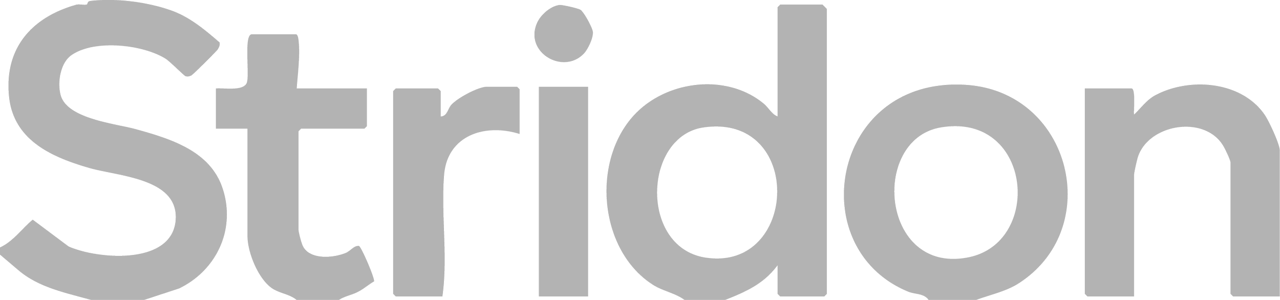 Logo with the word 'Steridon' in large gray letters.