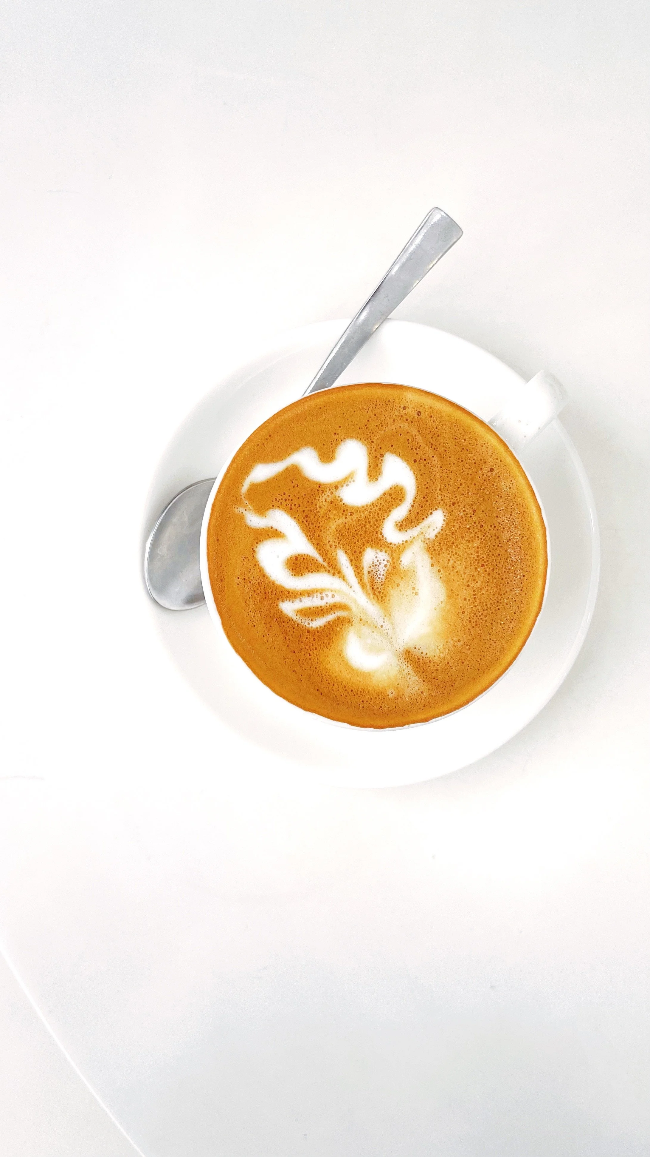 FullSizeRender 2.jpg