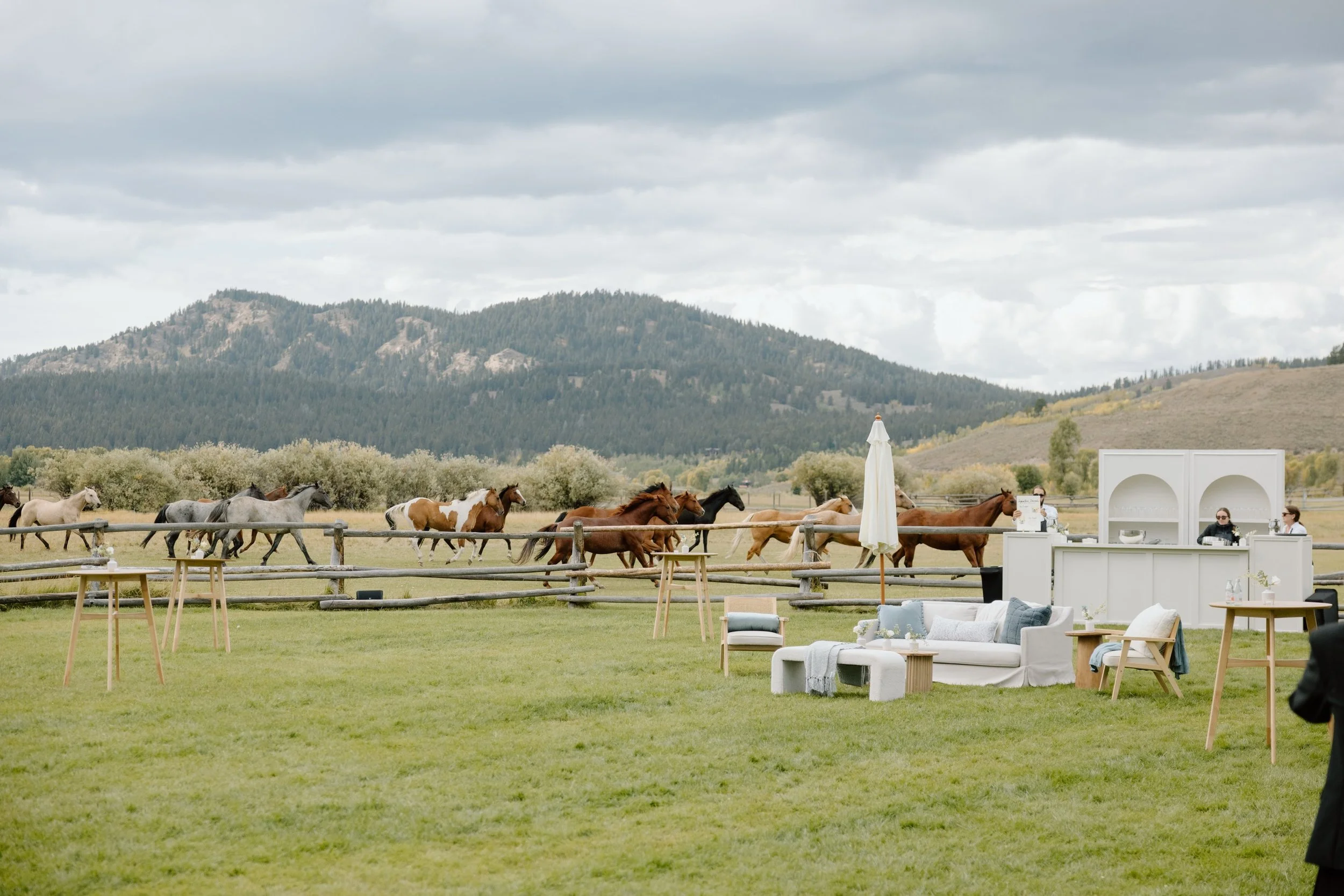 @lindleyrustphoto beautifully captured the magic of a cocktail hour at Diamond Cross Ranch. ✨@diamondcrossranchweddings 

Running Horses, The Tetons and dusty blue skies. 

My rentals featured in front of this insane backdrop: 
🤍White statement bar 