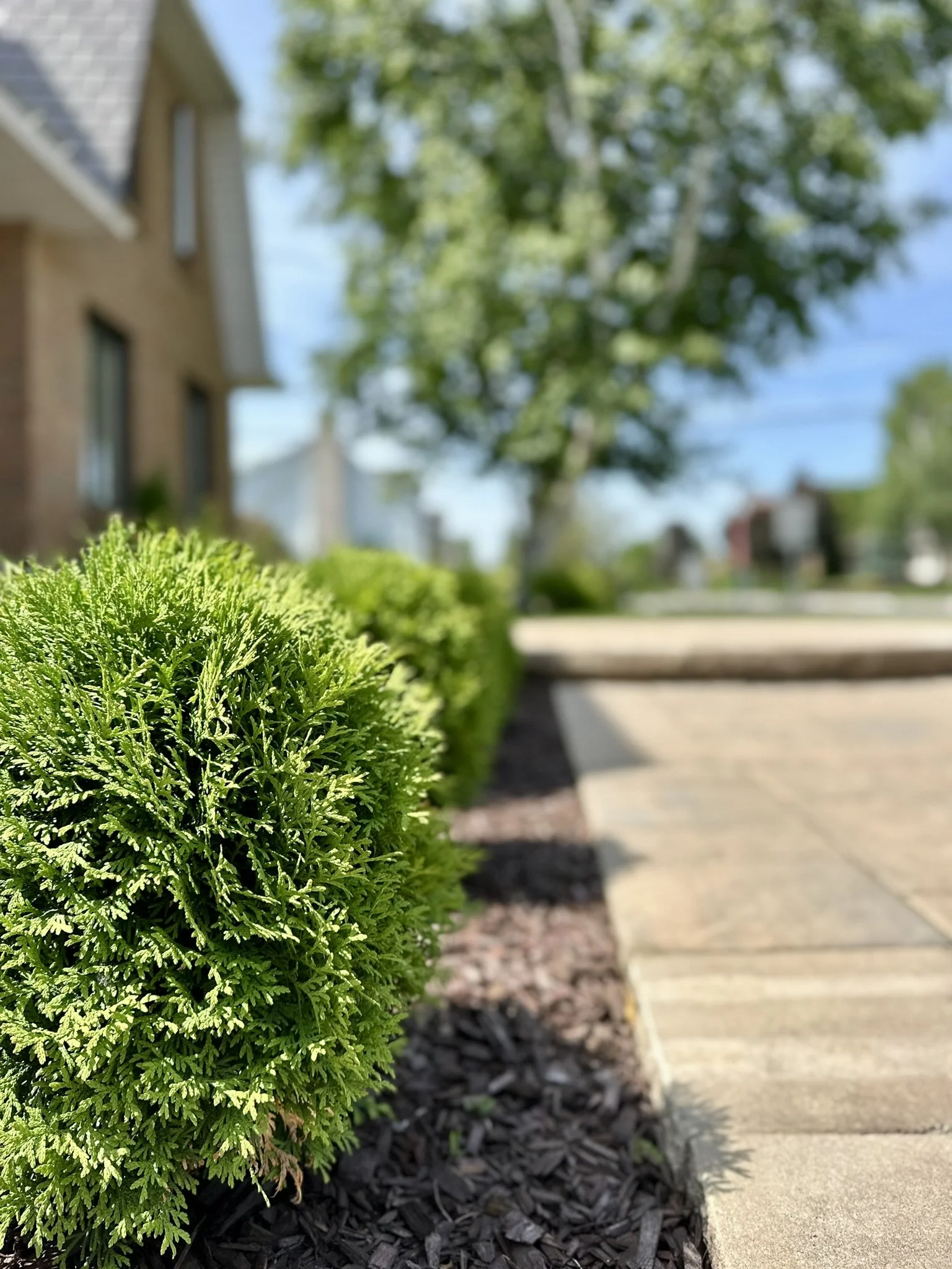 aménagement paysager