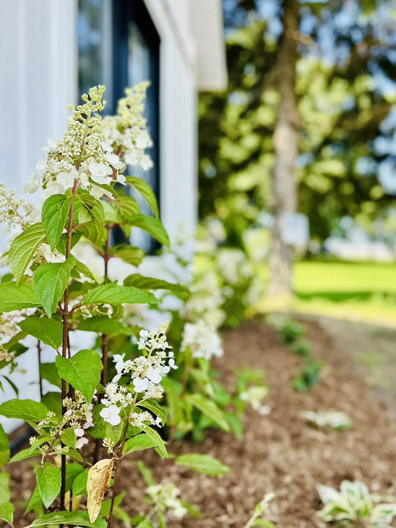 aménagement extérieur maison