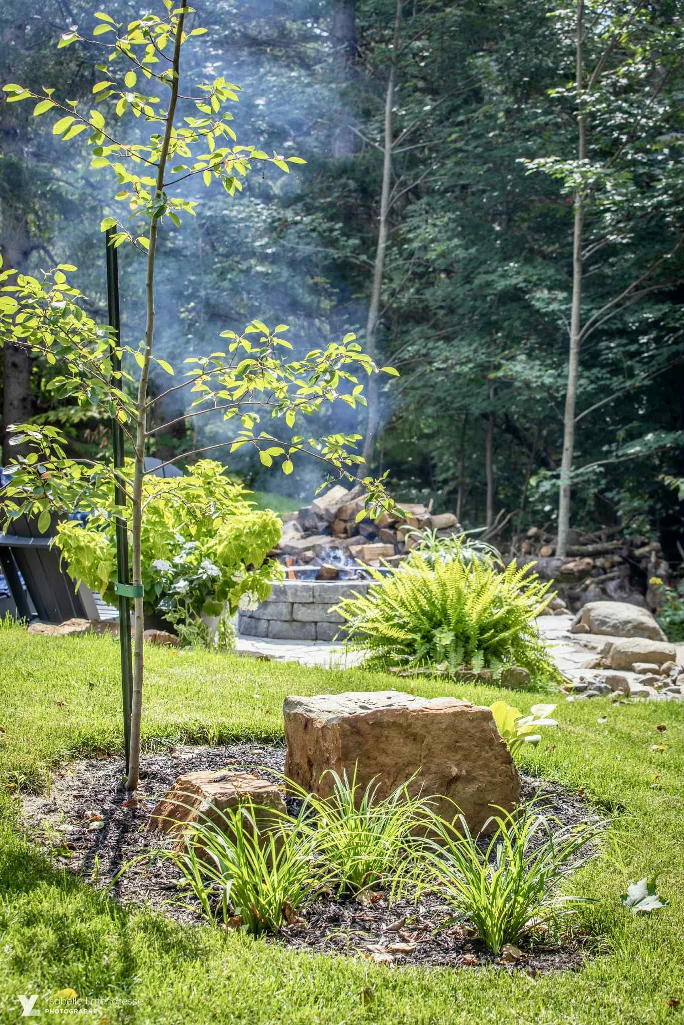 aménagement cour arrière