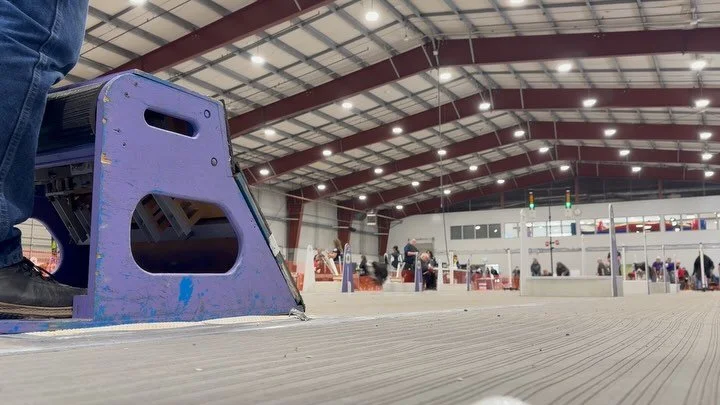 Another tournament on the books for some of the Barnstormers Flyball dogs. Odie, Bailey, Lea, Pico, Misty and Bowie spent the weekend racing at the 2025 Abbotsford tournament. 

#flyball #flyballdogintraining #flyballtraining #flyballdogs #flyballtou