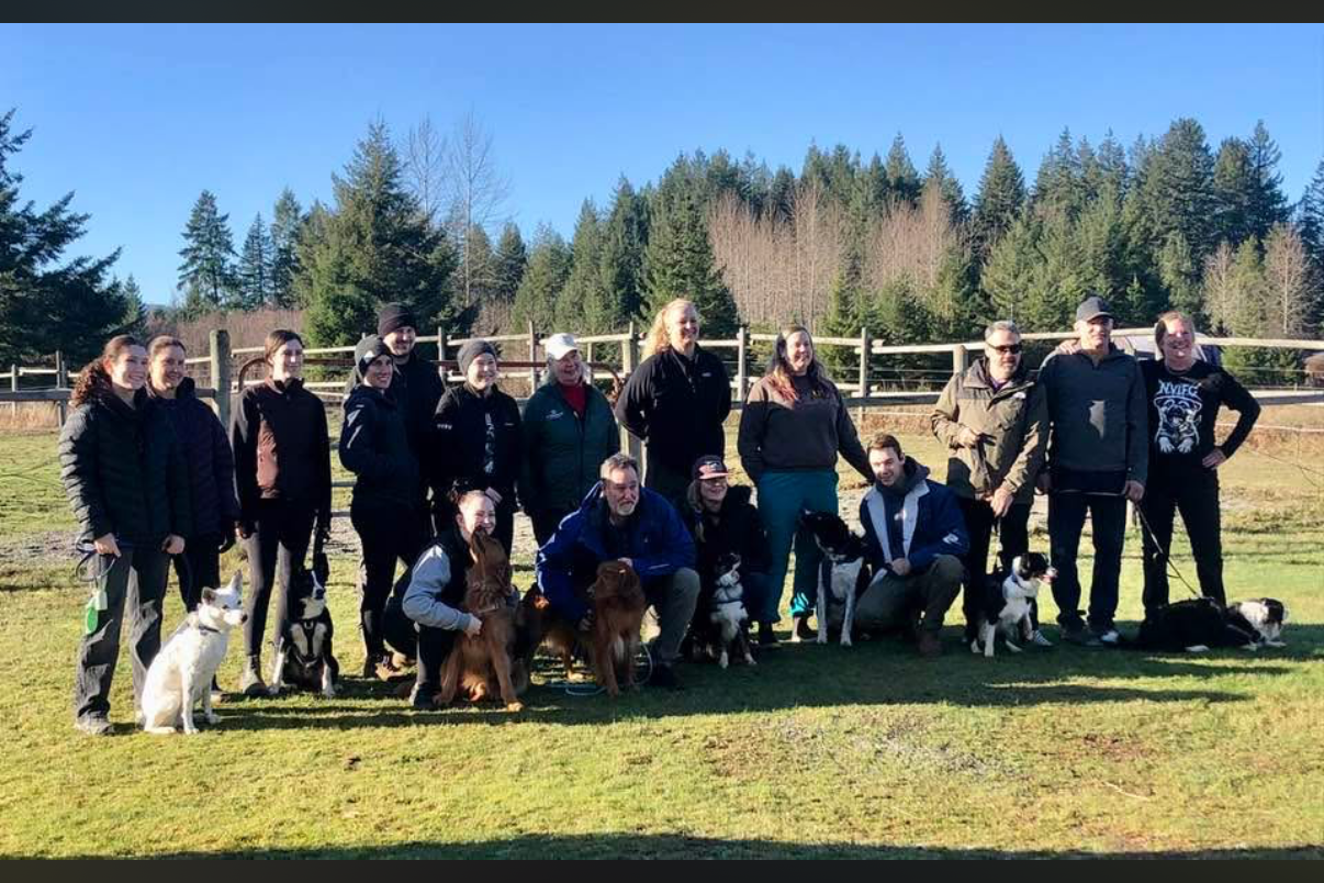 Fun Tournament with NVI