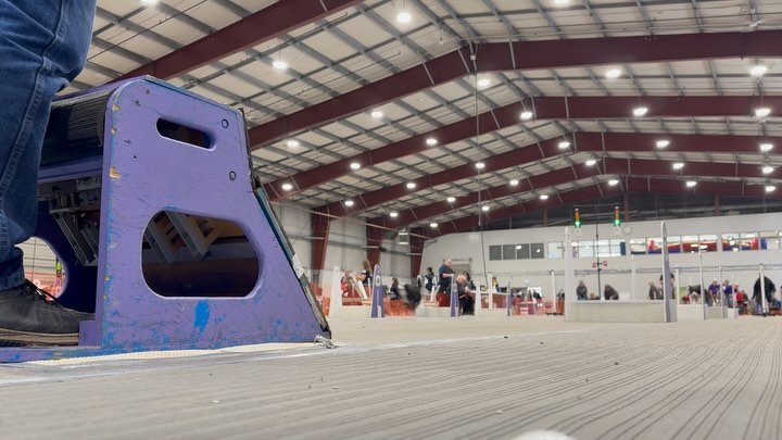 Another tournament on the books for some of the Barnstormers Flyball dogs. Odie, Bailey, Lea, Pico, Misty and Bowie spent the weekend racing at the 2025 Abbotsford tournament. 

#flyball #flyballdogintraining #flyballtraining #flyballdogs #flyballtou