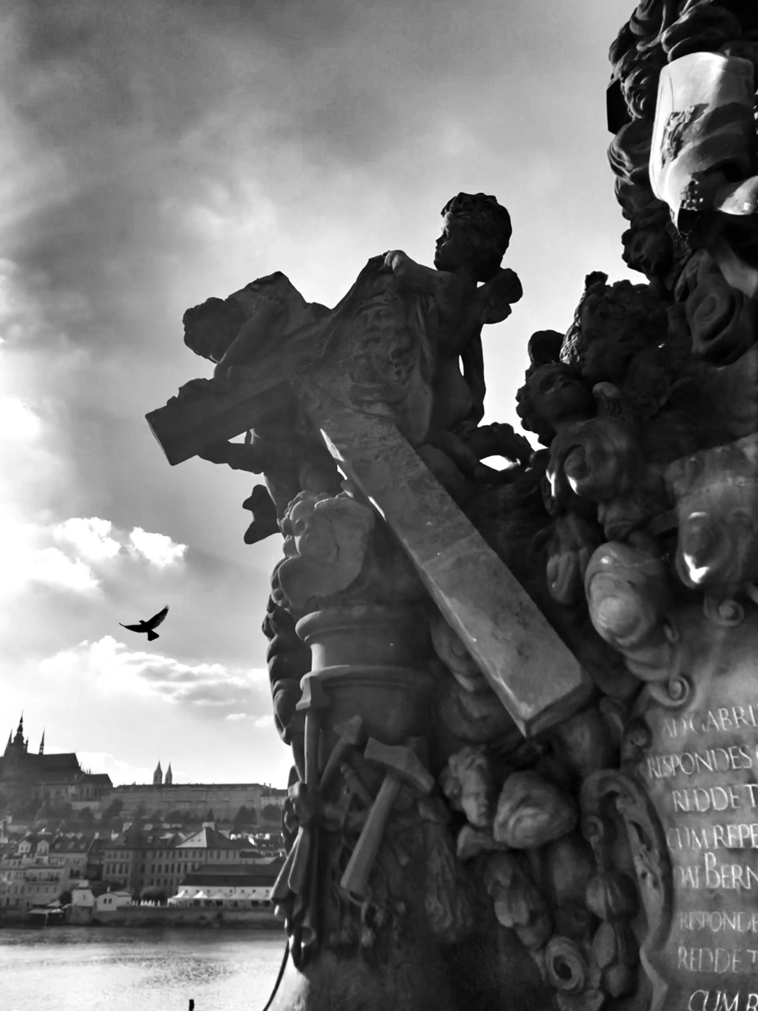 Budapest Bird Postcard.JPG