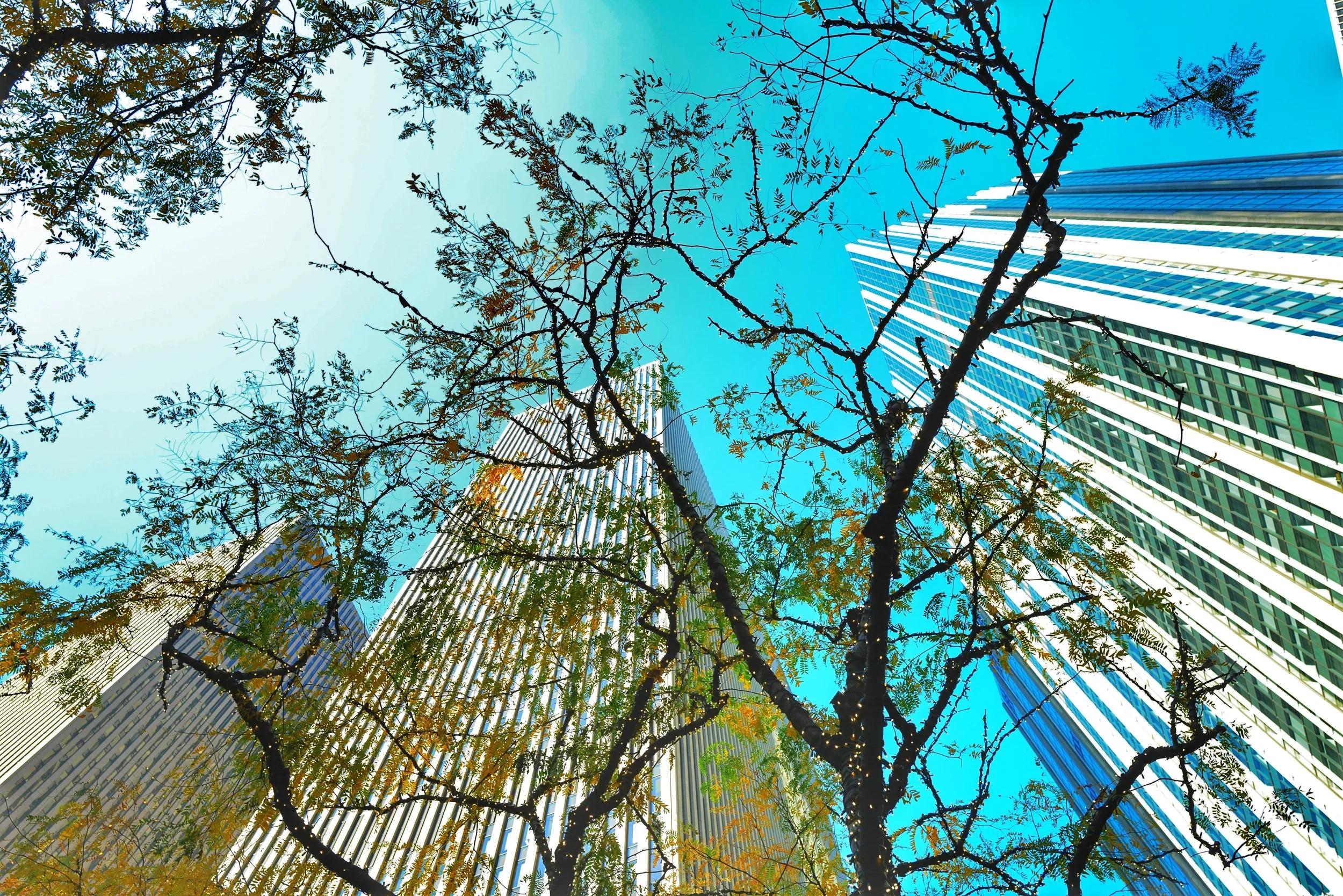 NYC+Spring+Scapers.webp