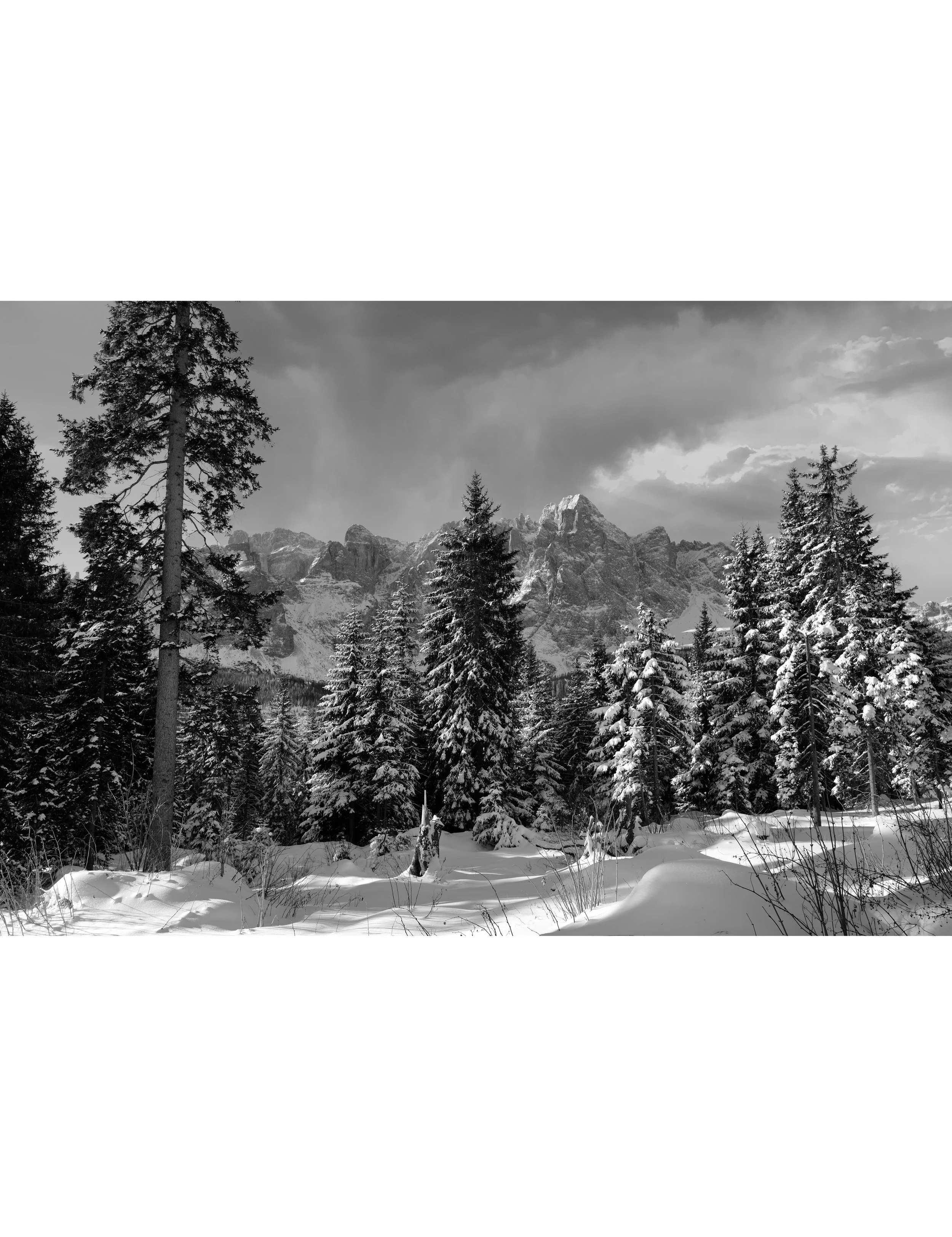 Dolomite Dreams White BG.jpg