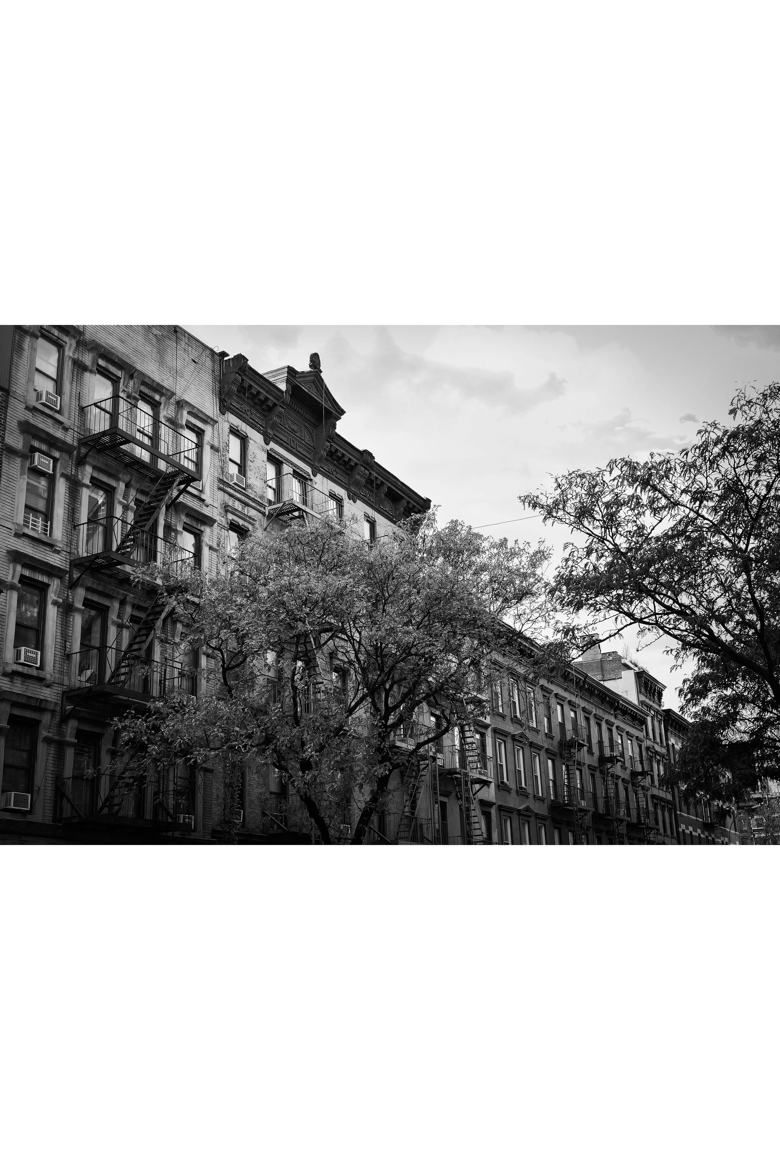 Hells Kitchen LR WhiteBG.jpg