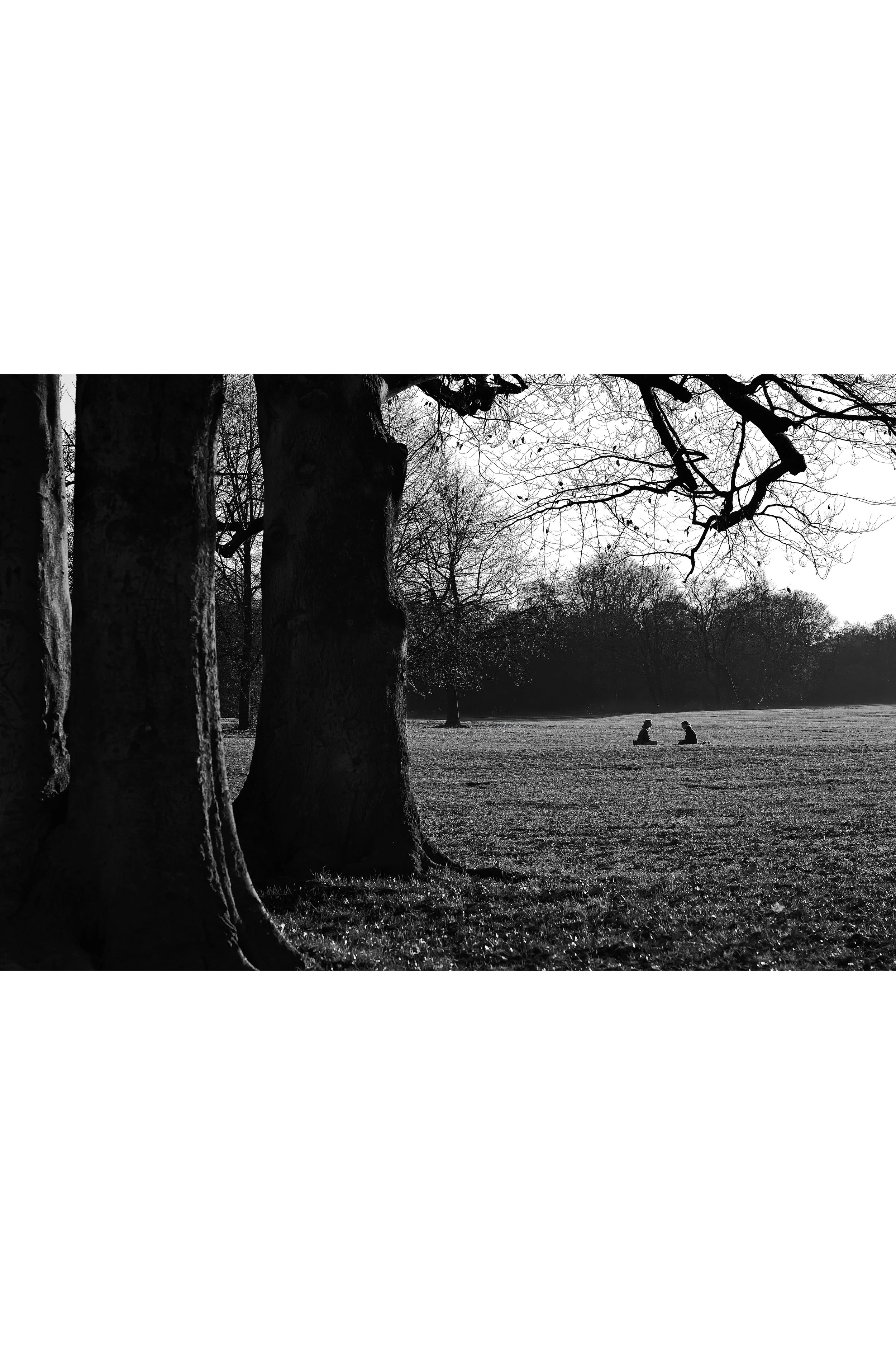 English Garden 1LR Squarspace full.jpg