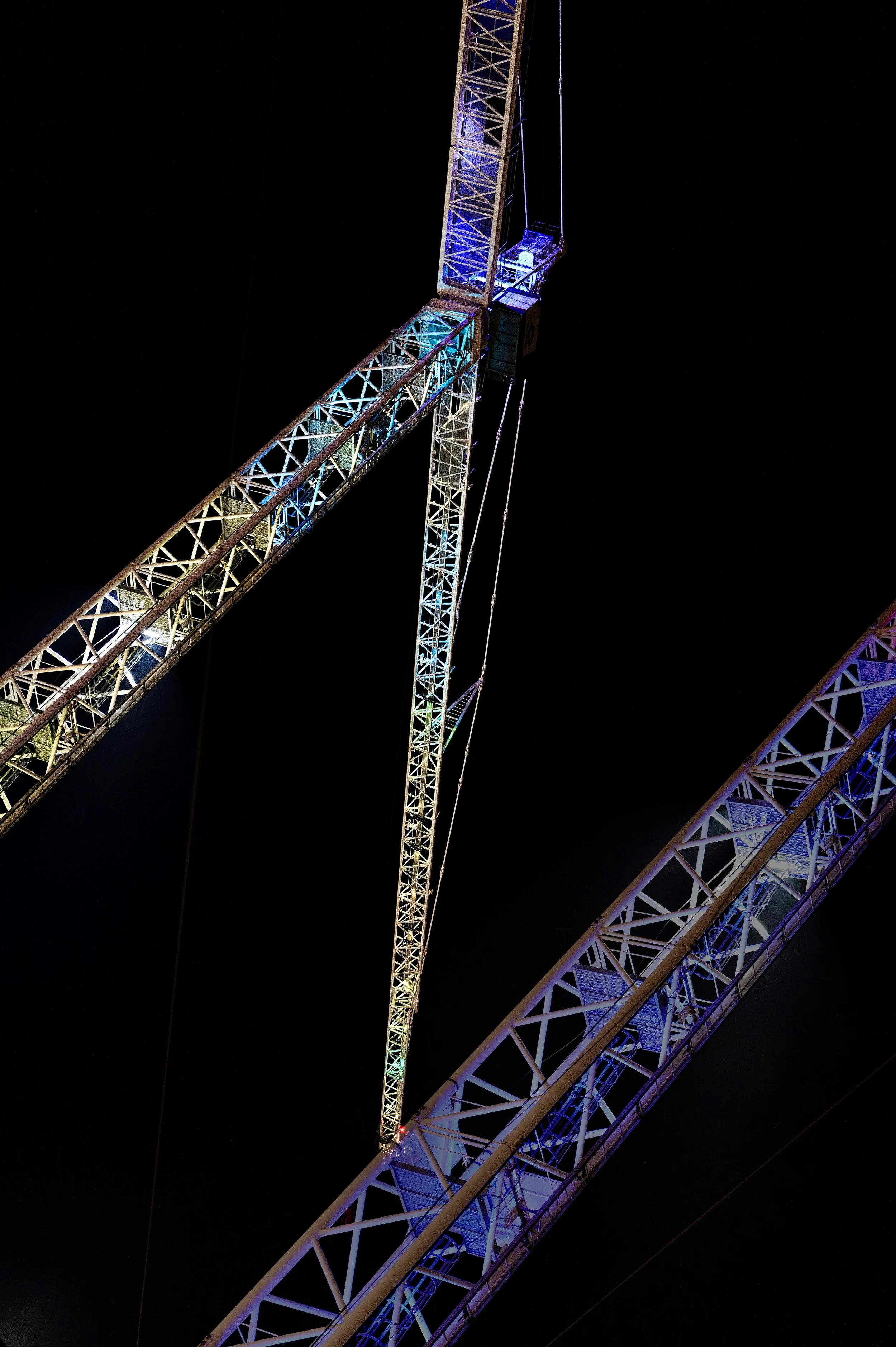 Cranes in Color.jpg