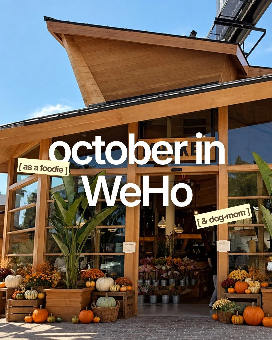 Looking for things to do in October in and around West Hollywood? I&rsquo;ve got the entire month covered for you. 📍

From West Hollywood Halloween Carnaval chaos (the fun kind) to spooky nights at Universal Horror Nights, there&rsquo;s a lot happen
