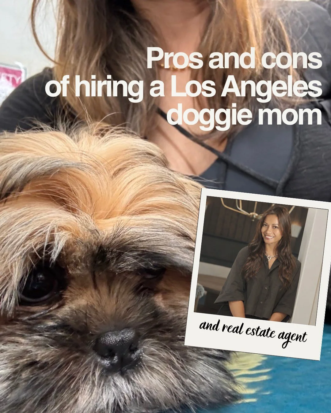 Choosing a real estate agent in Los Angeles gets a little more interesting when they also happen to be a dog mom with strong opinions and excellent taste.

There are definitely a few perks.

Like understanding why a fenced yard (or at least a legit p