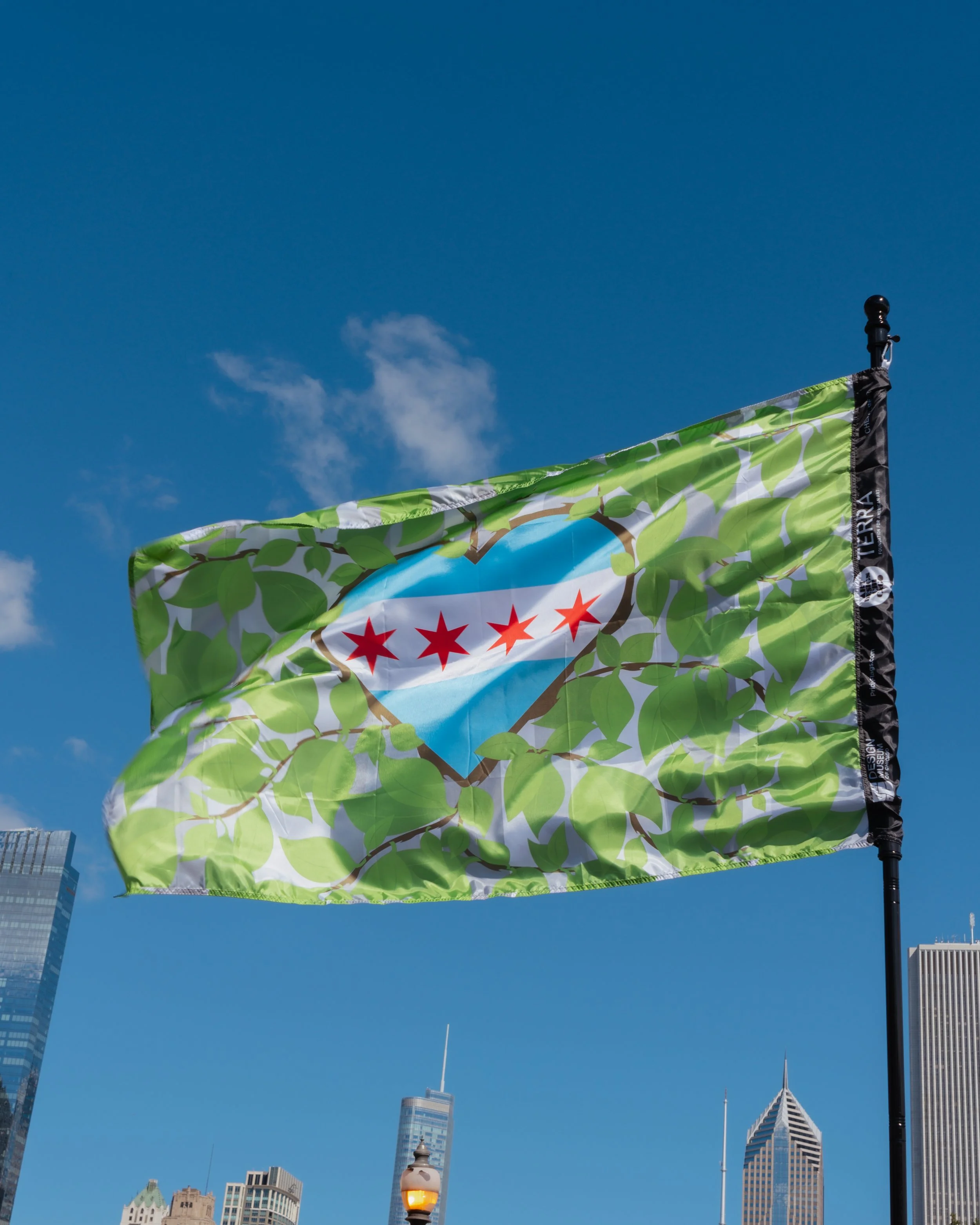 CHICAGO FLAG FEST | DMOC