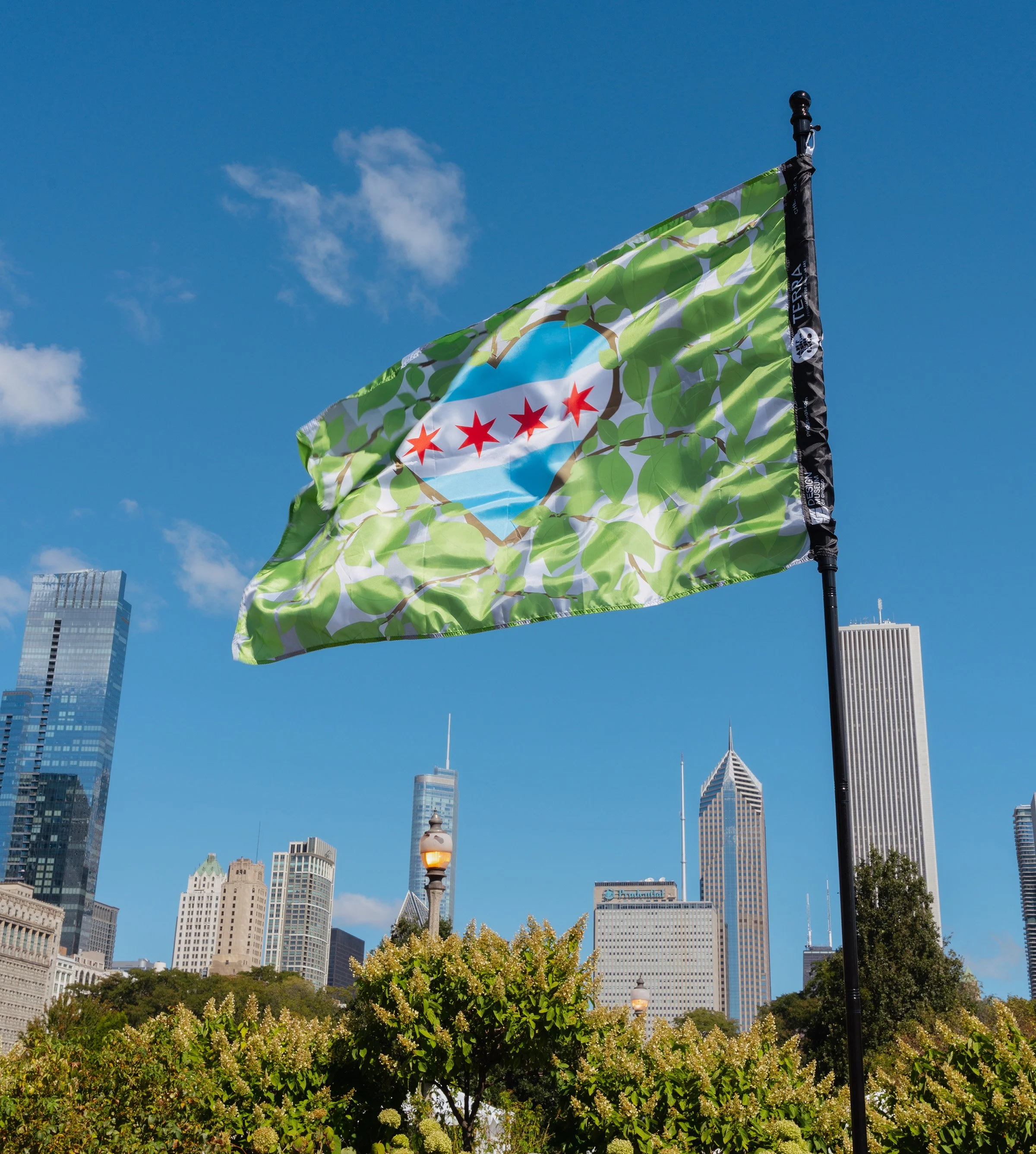 CMBFlag_DMOC_ Ceninye_1.jpg